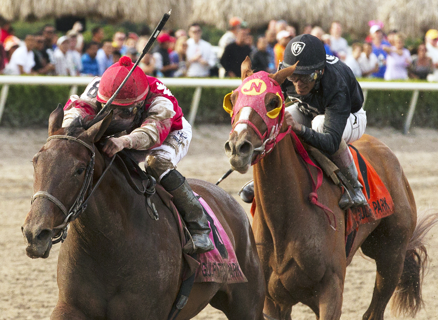 Birdatthewire wins the Gulfstream Oaks