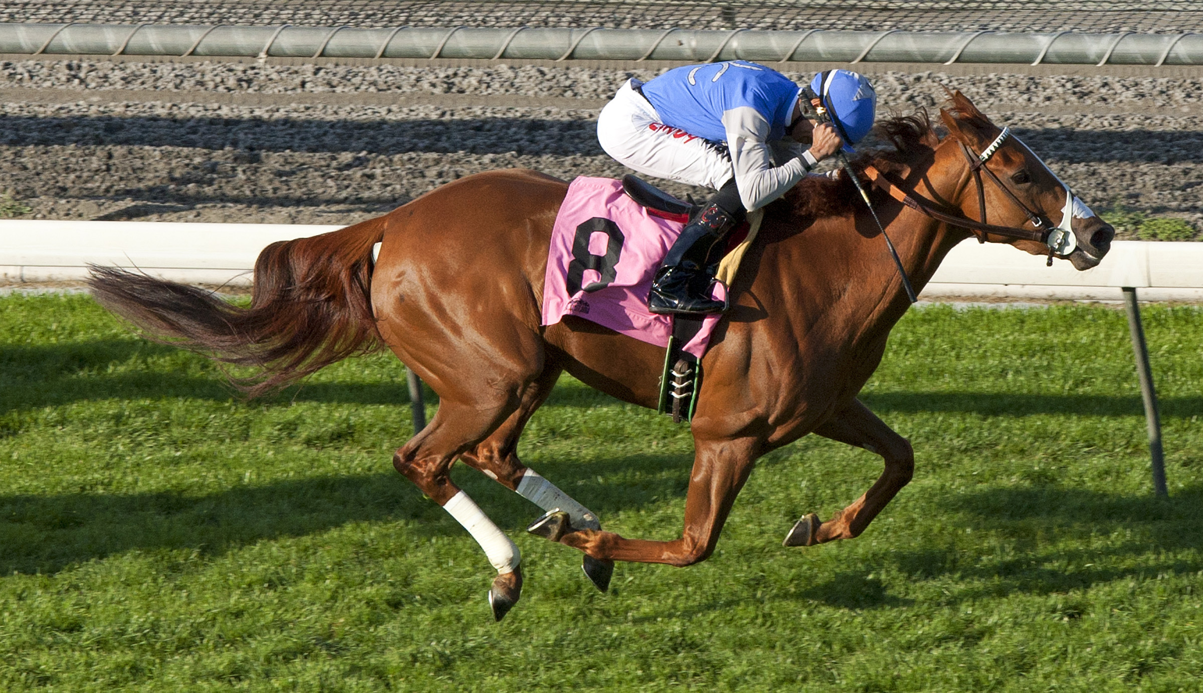 Birdlover, China Doll Stakes