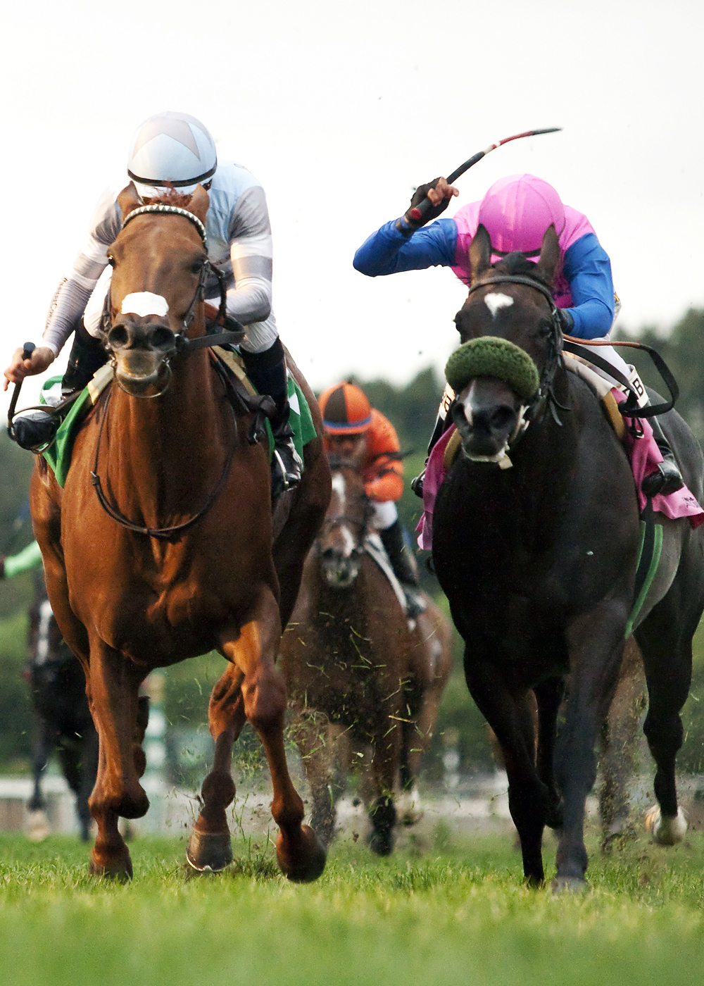Birdlover wins the Mizdirection Stakes