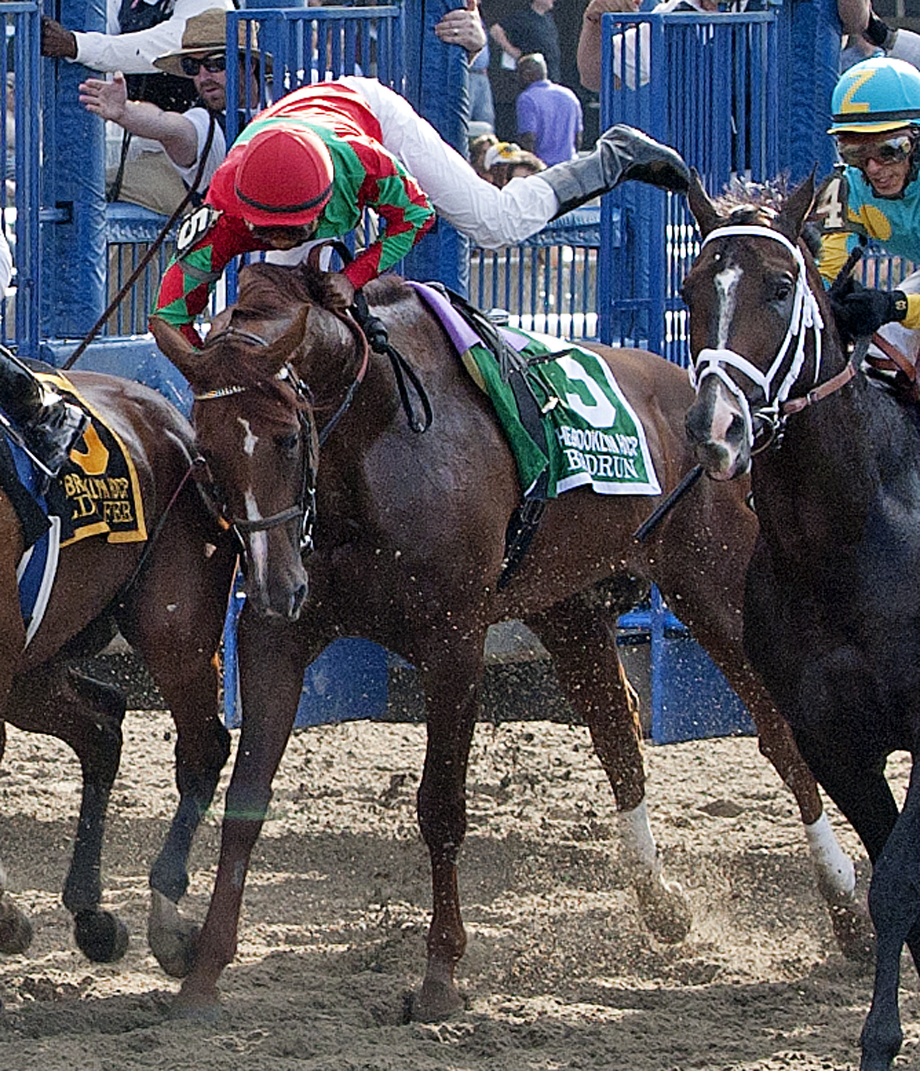 Birdrun07.6-8-12.TK.jpg