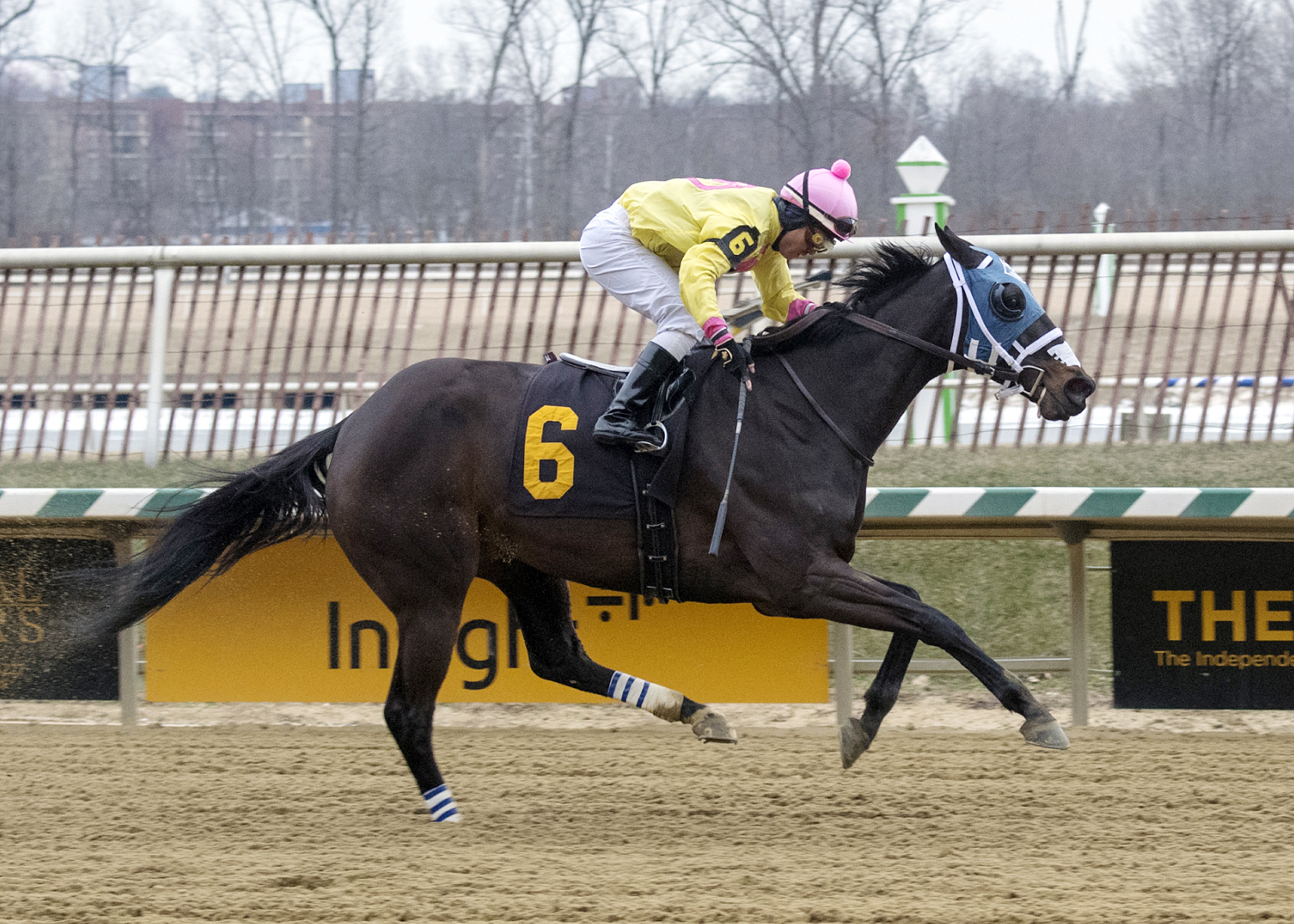 Bishop's Pond wins the Thirty Eight Go Go Stakes