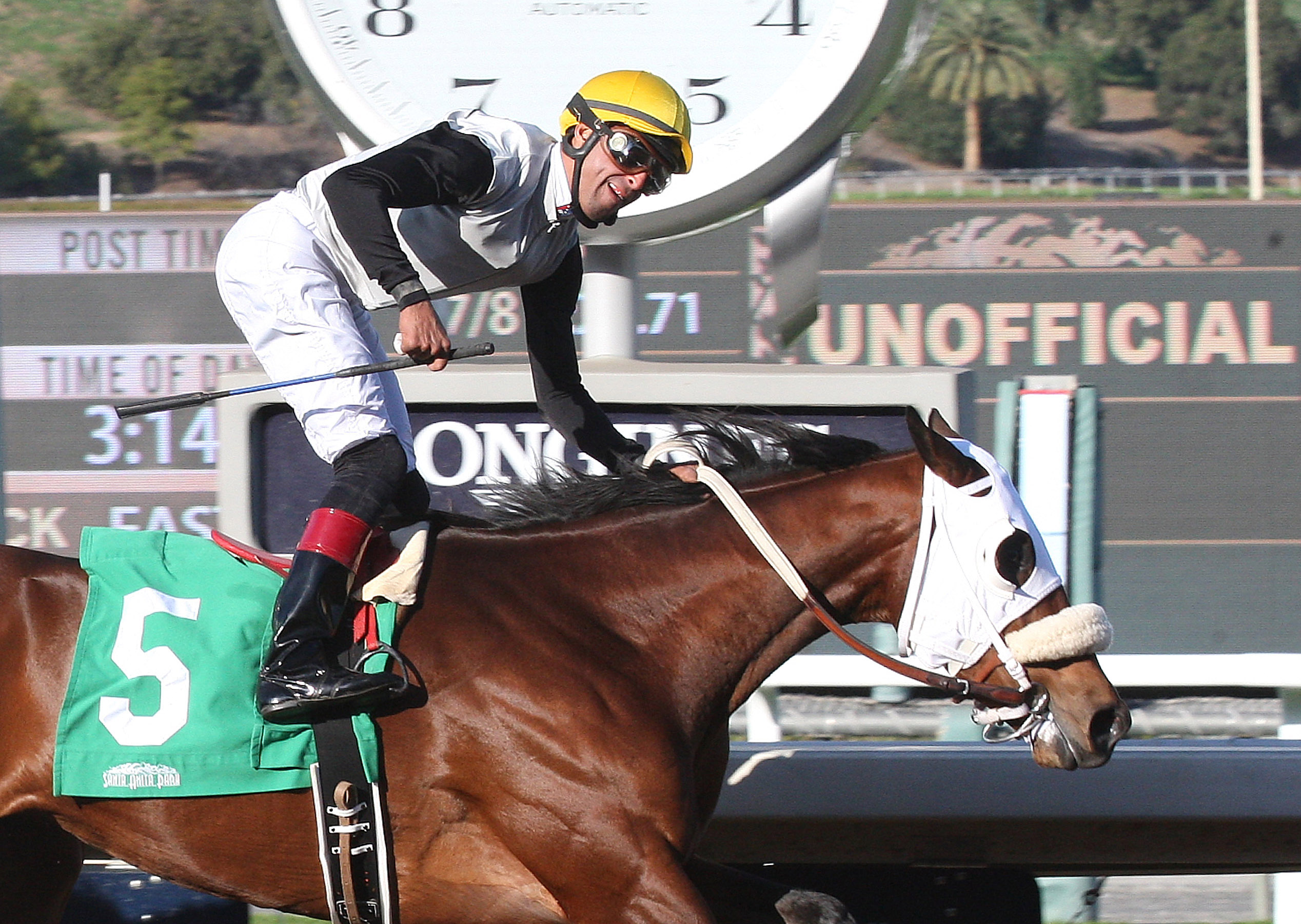 Bistraya wins a maiden race