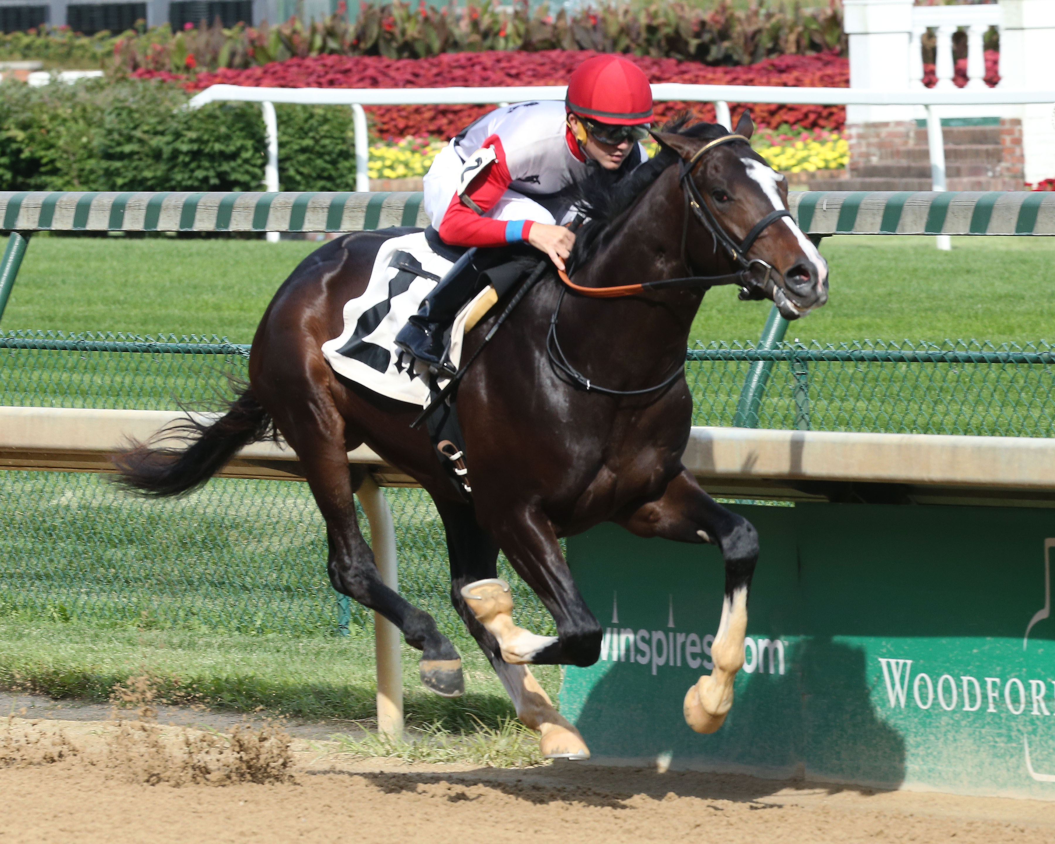 Bitumen wins a maiden race