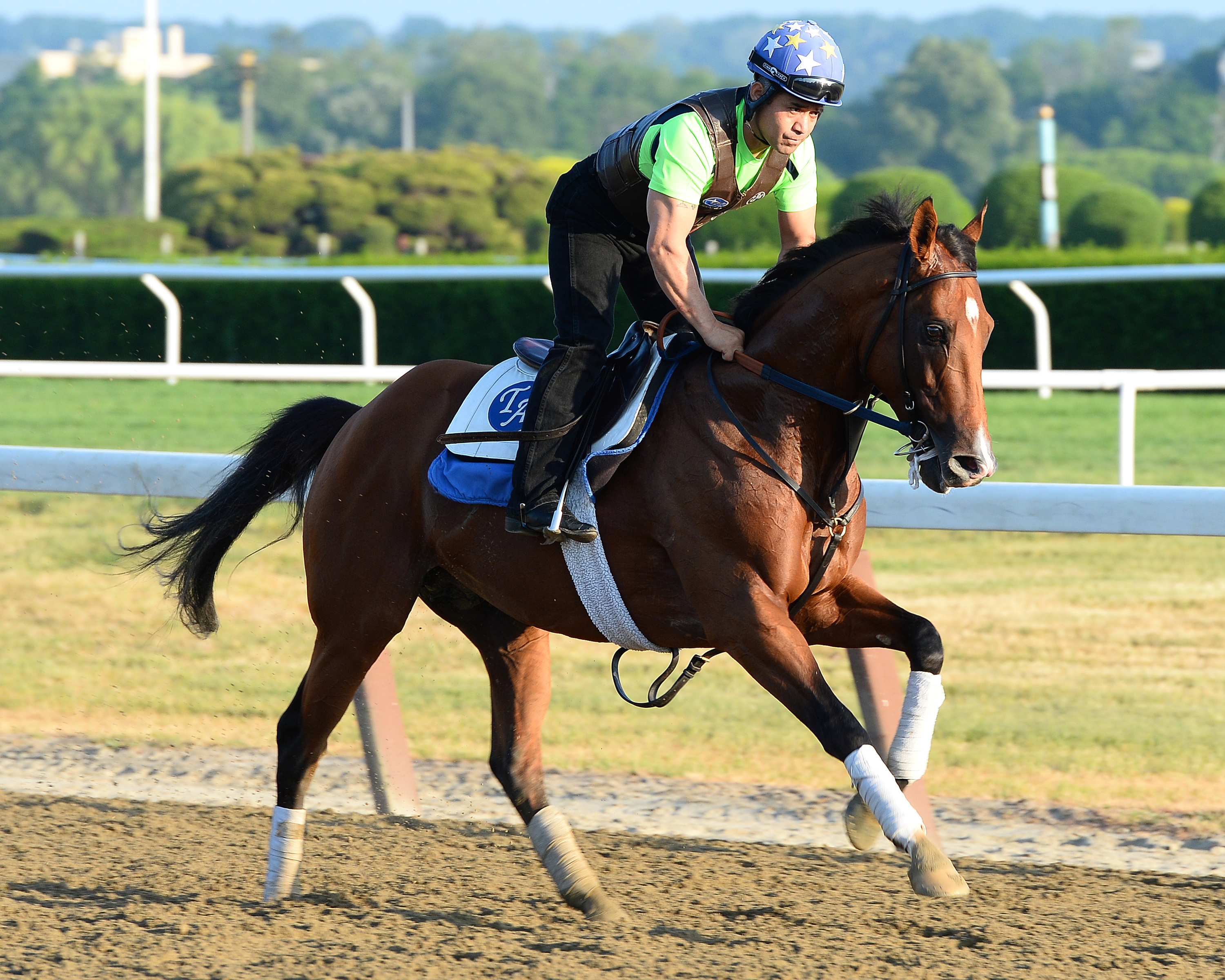 Biz the Nurse trains at Belmont in May