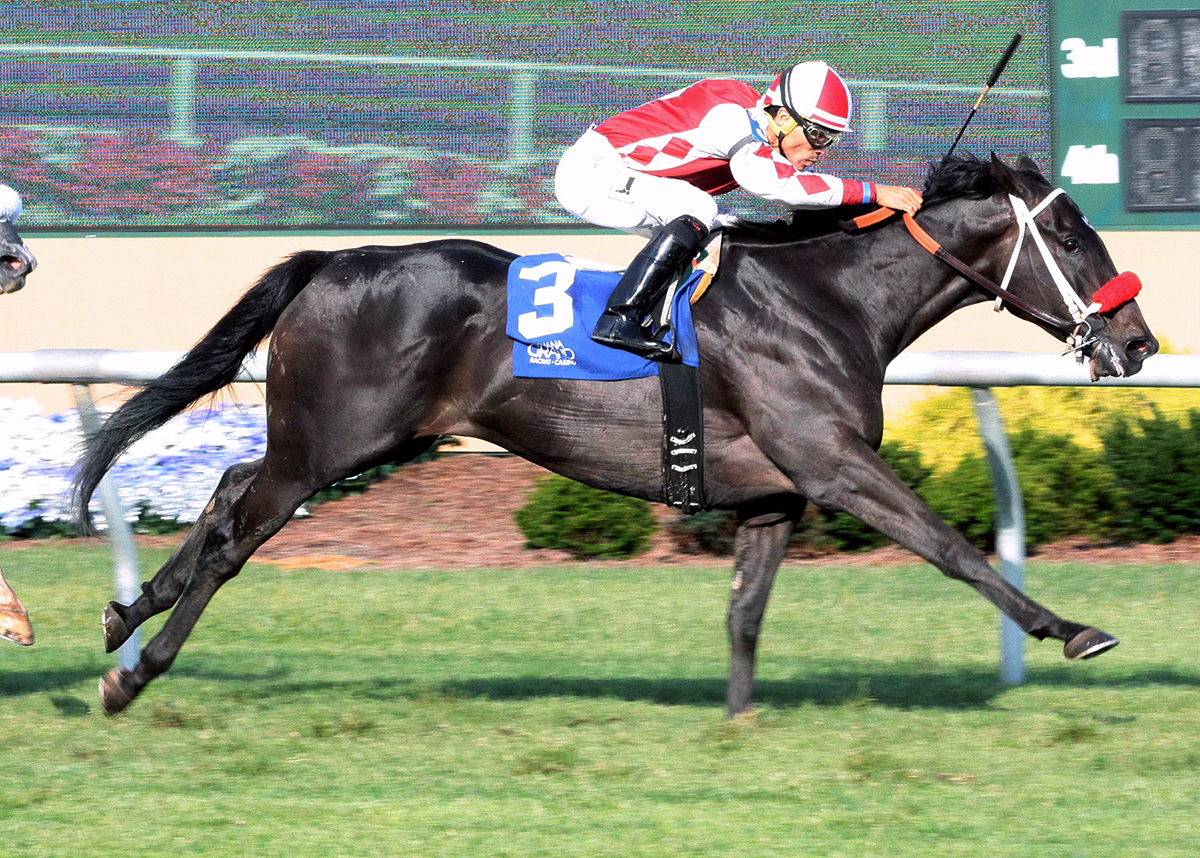 Bizerk wins the 2018 AJ Foyt Stakes