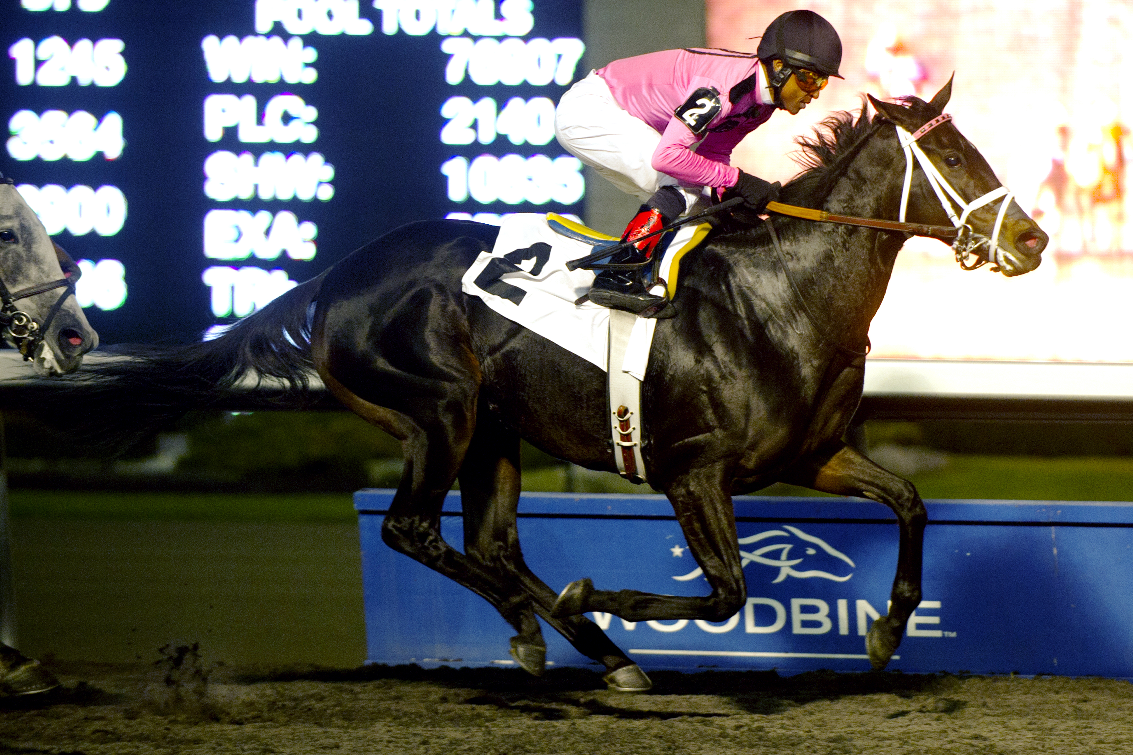 Black Bird Rock wins an optional claimer