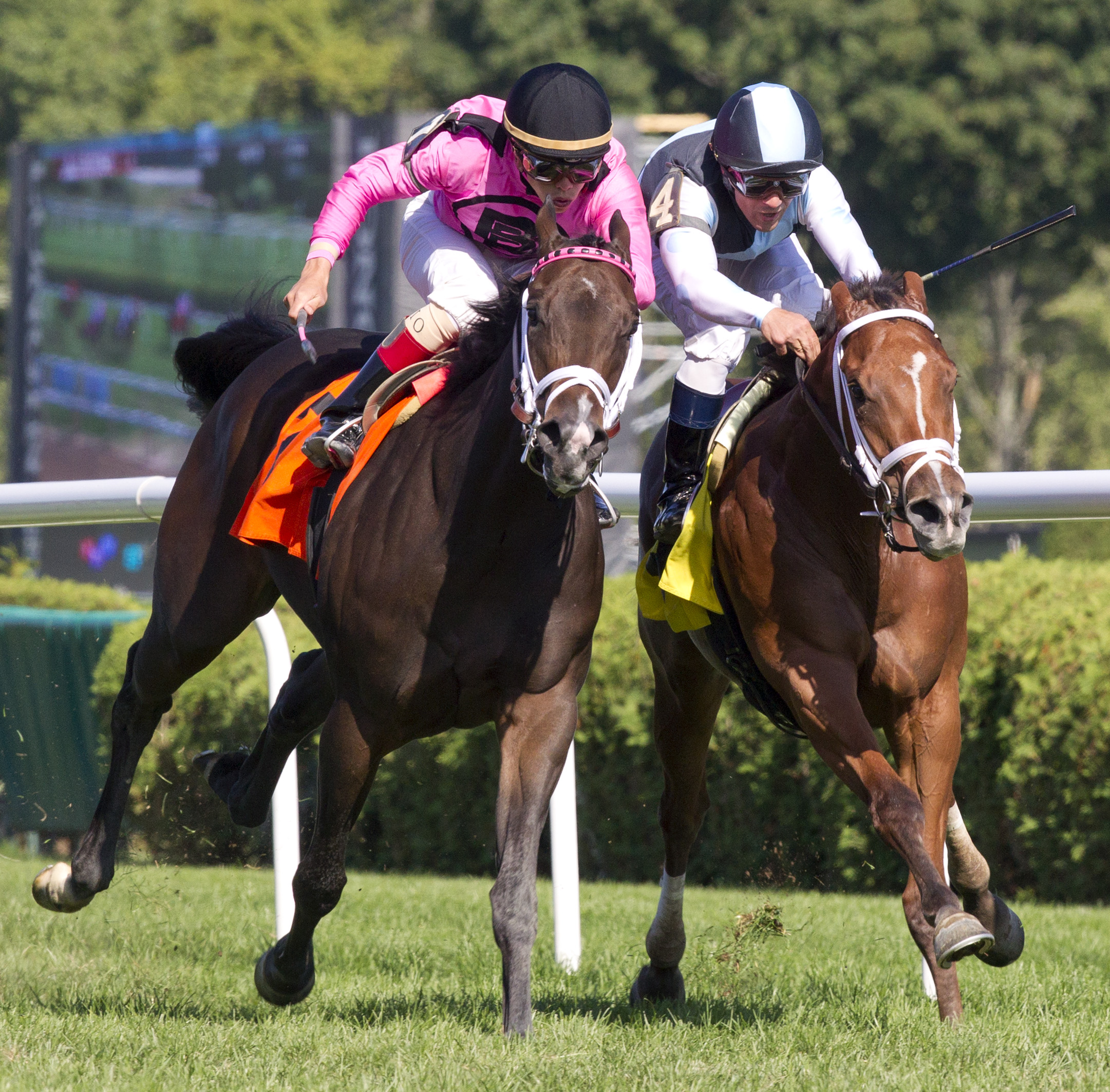 Black Canary wins a maiden race