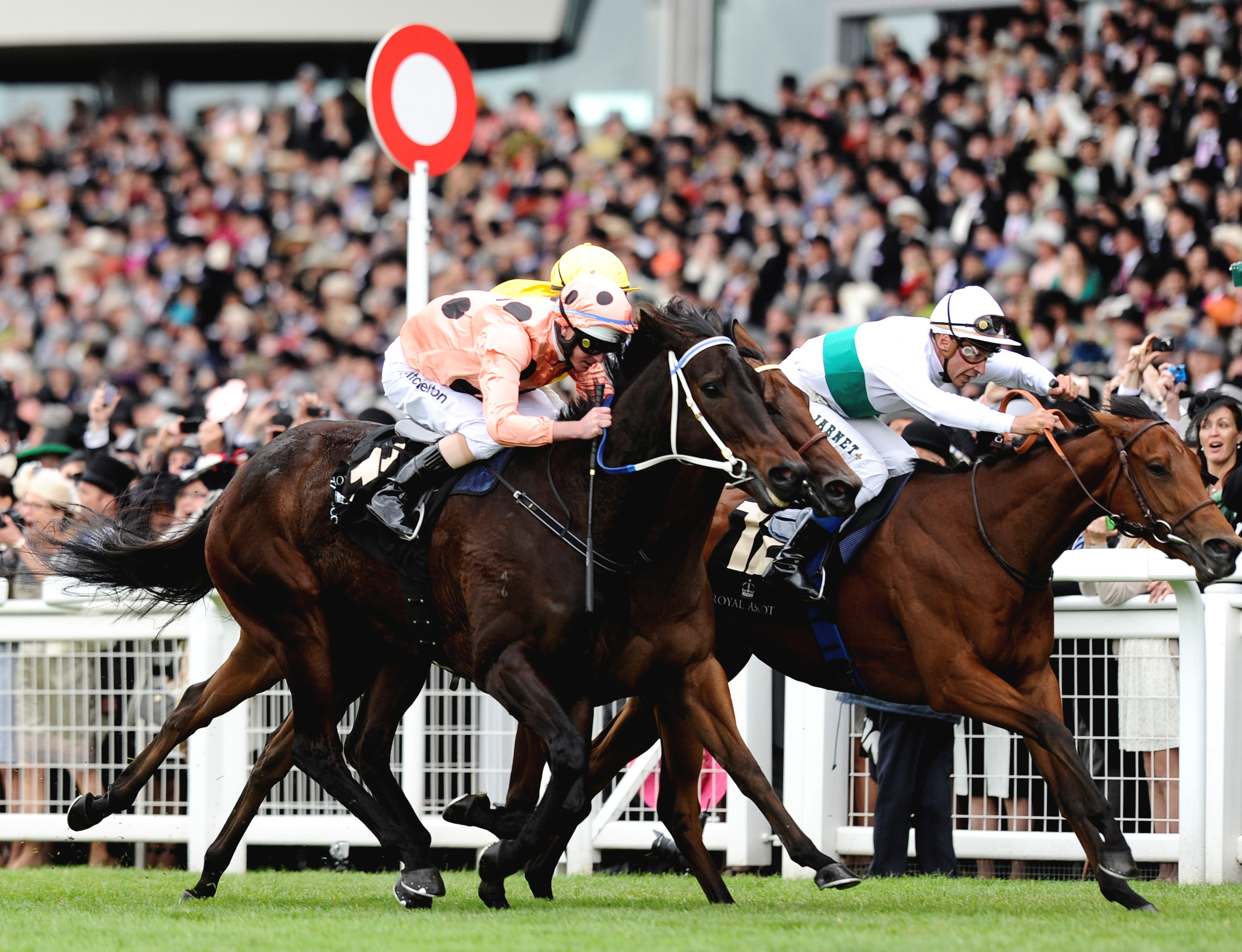 Black Caviar, Diamond Jubilee Stakes, Ascot