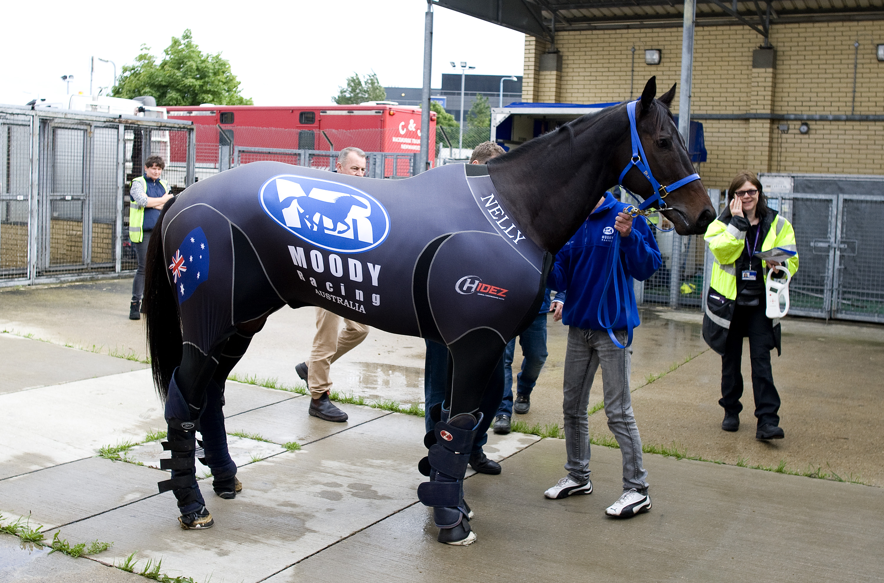 Black Caviar
