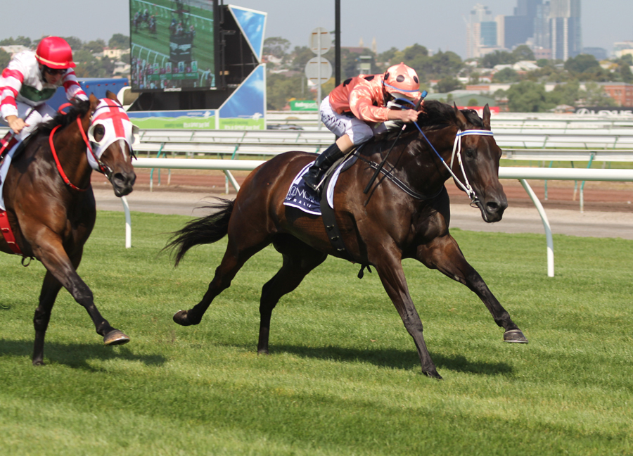 Black Caviar/Coolmore