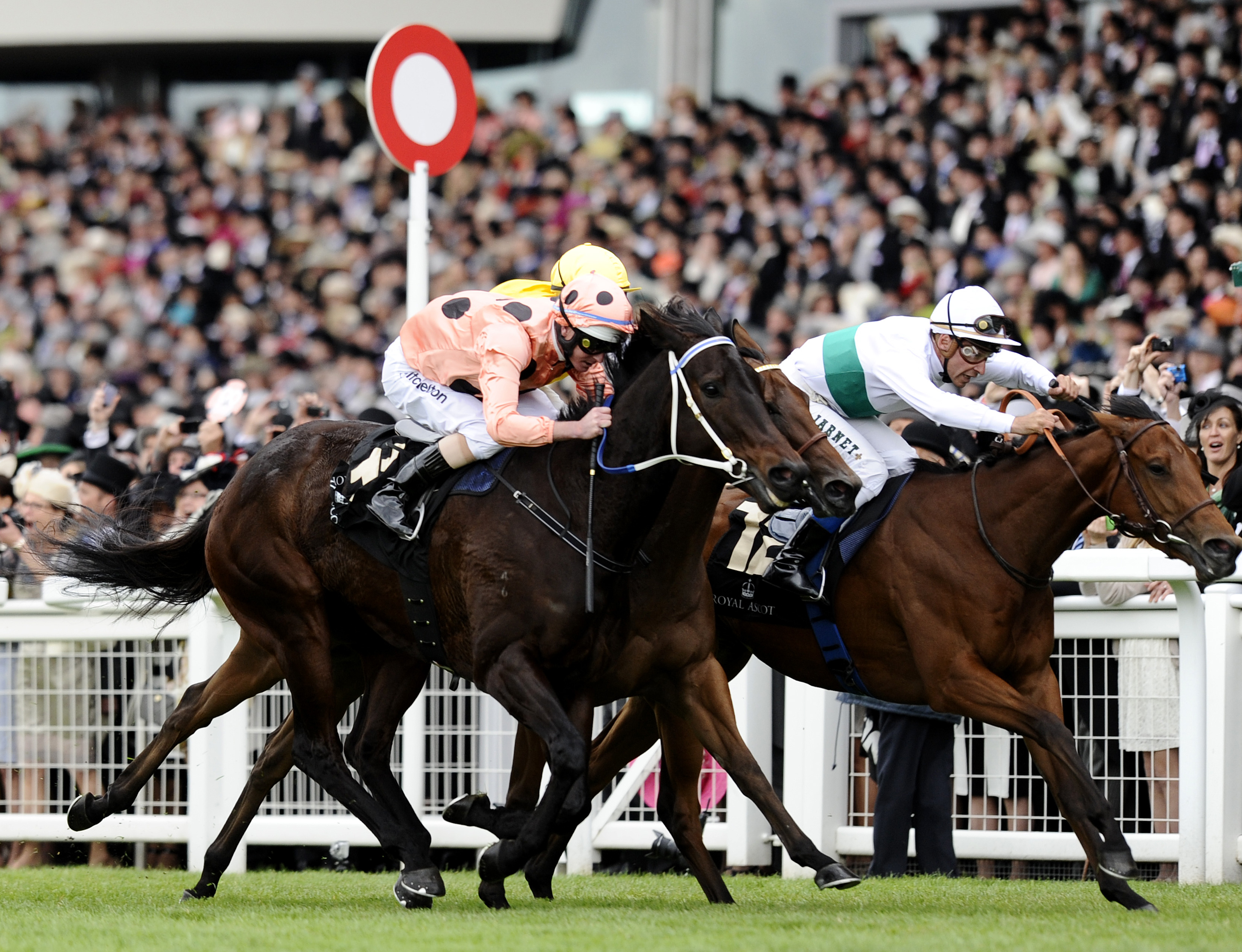 New Black Caviar photo