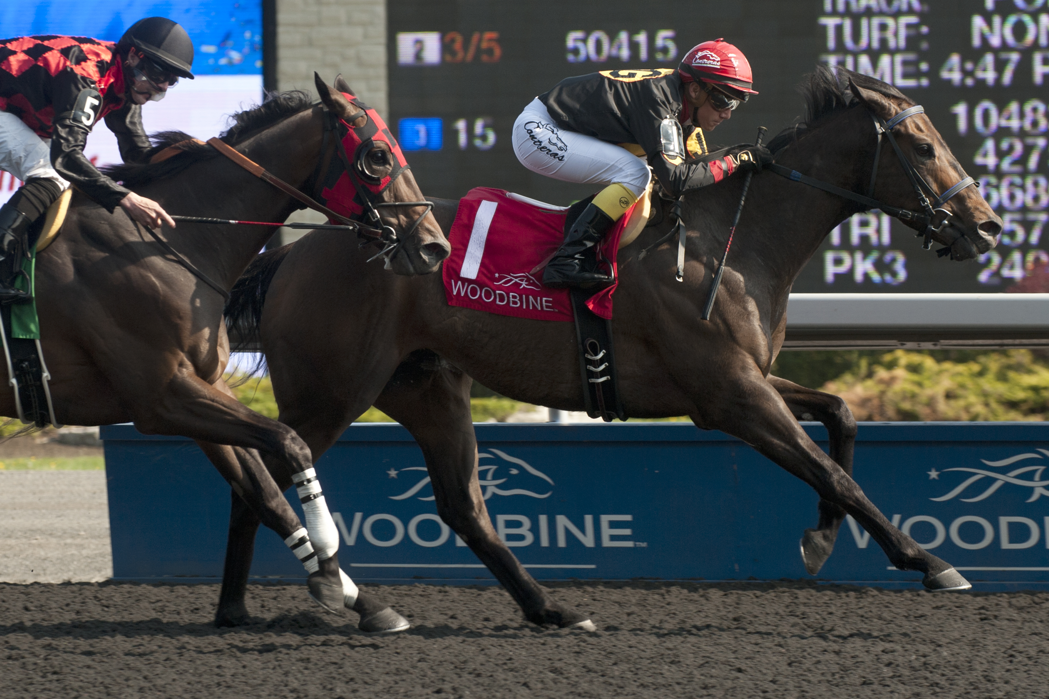 Black Hornet wins 2015 Vigil