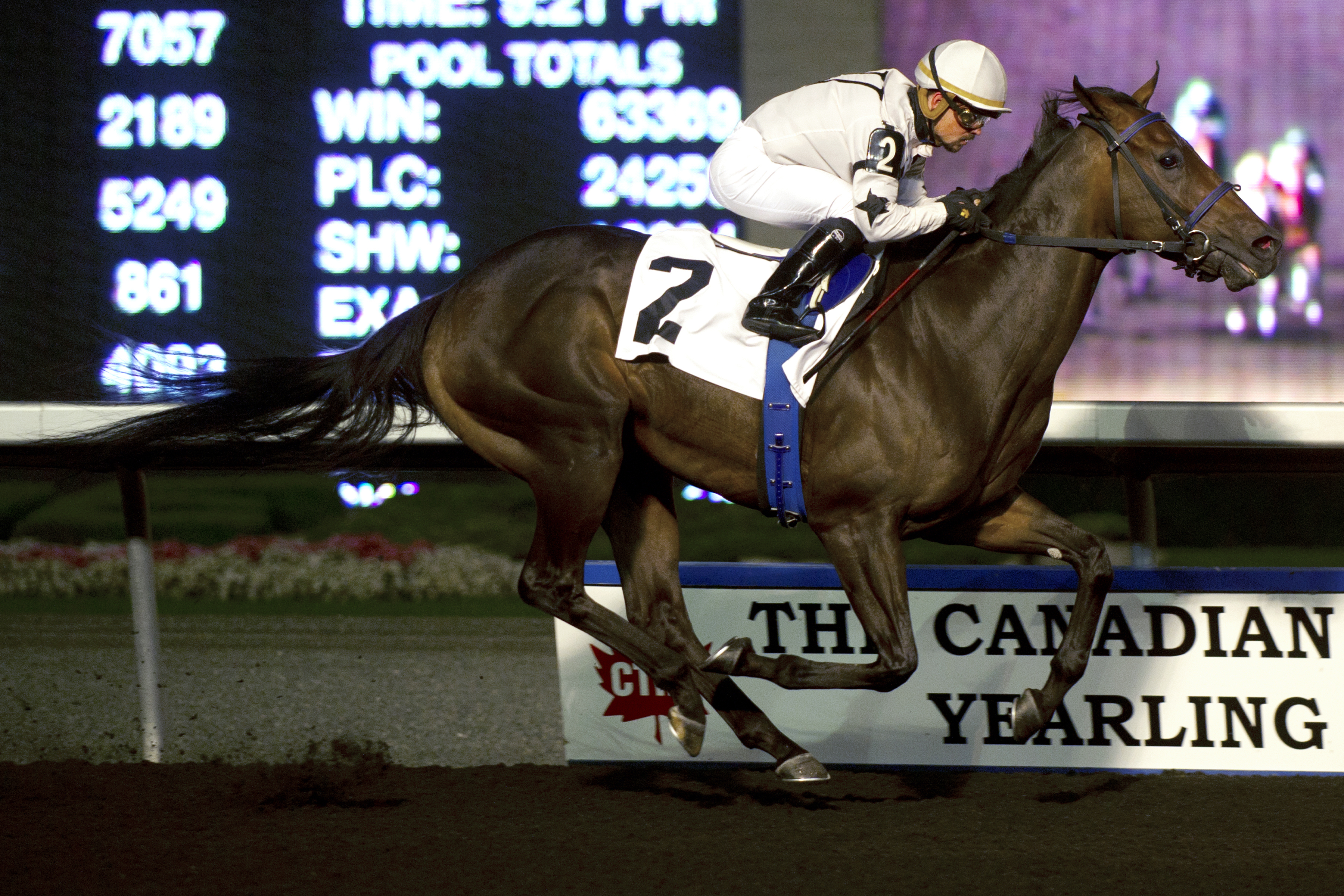 Black Hornet wins the Kenora Stakes