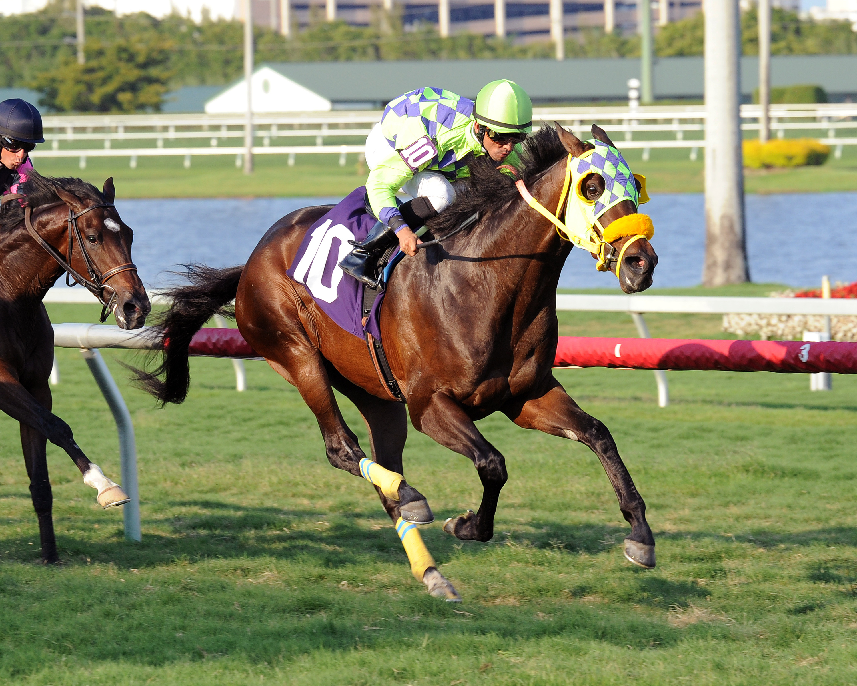 Black Martino wins an optional claimer