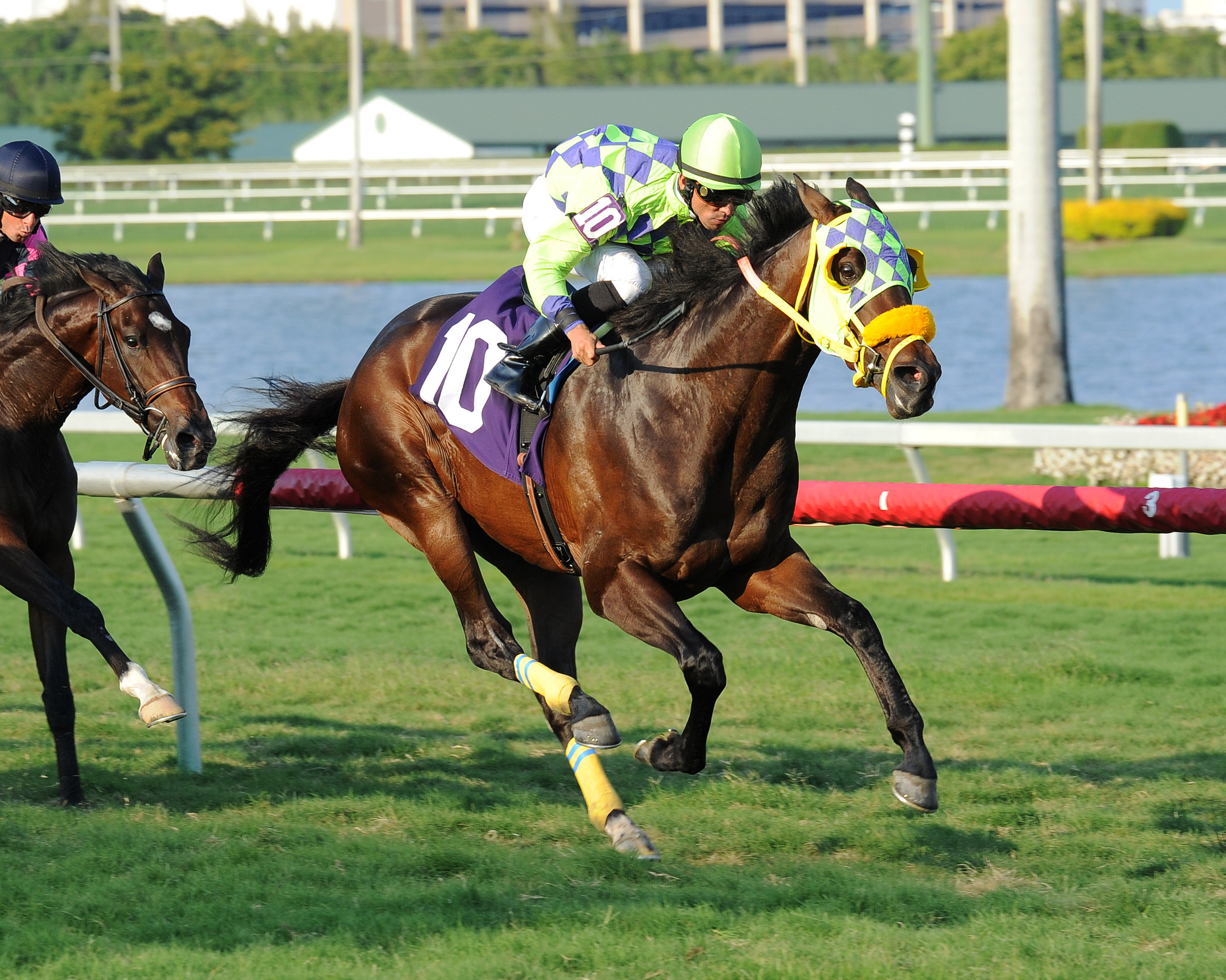 Black Martino wins an optional claiming race in March 2015