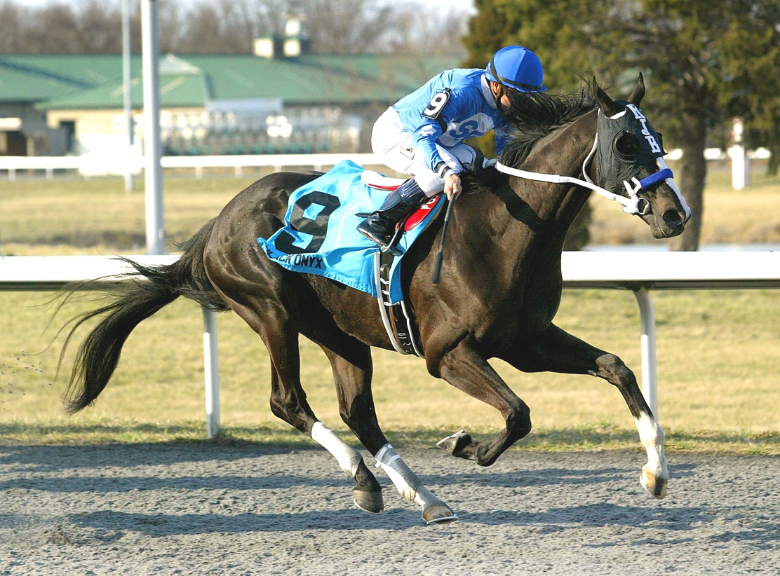 Black Onyx, Spiral Stakes