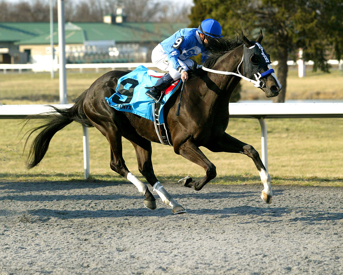 Black Onyx, Spiral Stakes