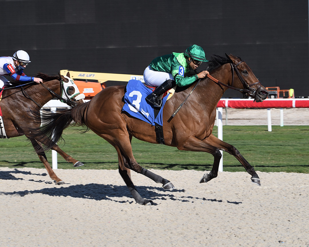 Black Sand wins a Jan. 15 maiden at Gulfstream Park
