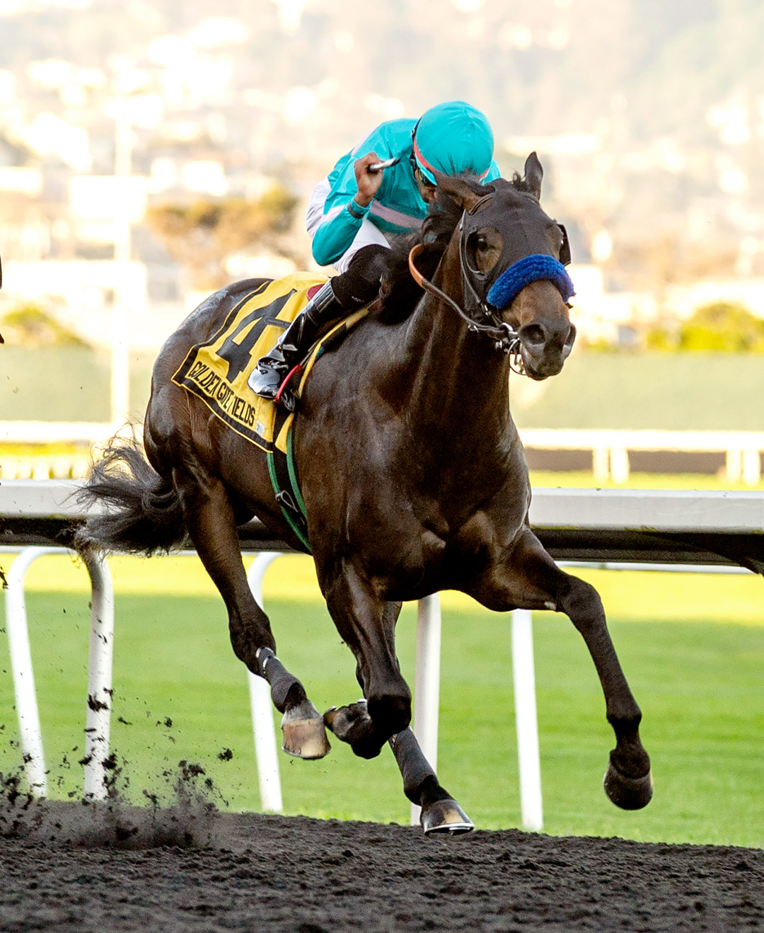 Blackadder wins the 2022 El Camino Real Derby at Golden Gate Fields
