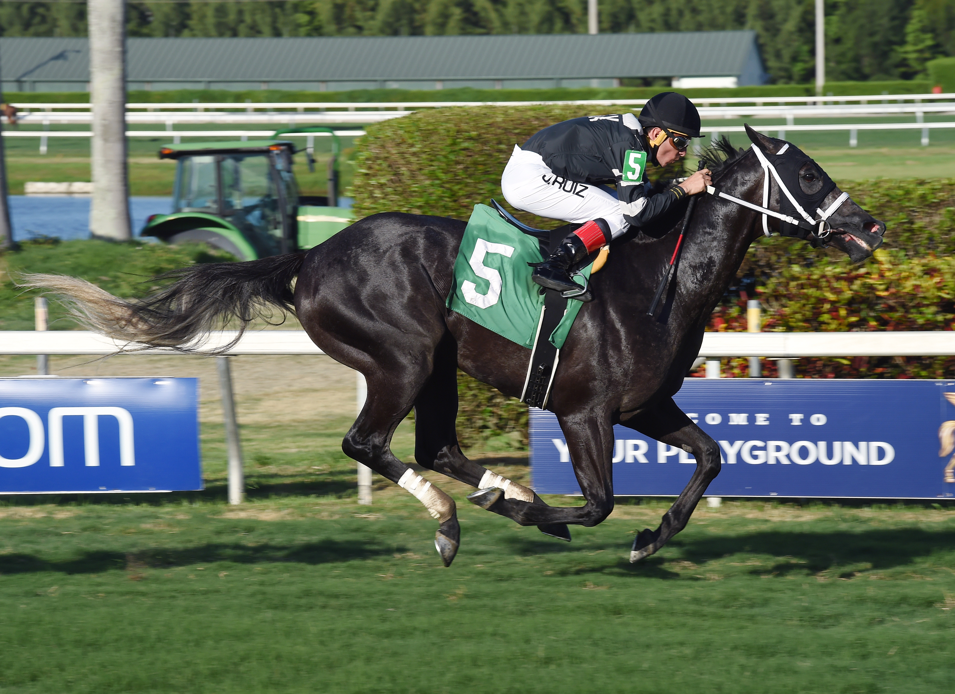Blackjack Baby wins a June 23 optional claiming race