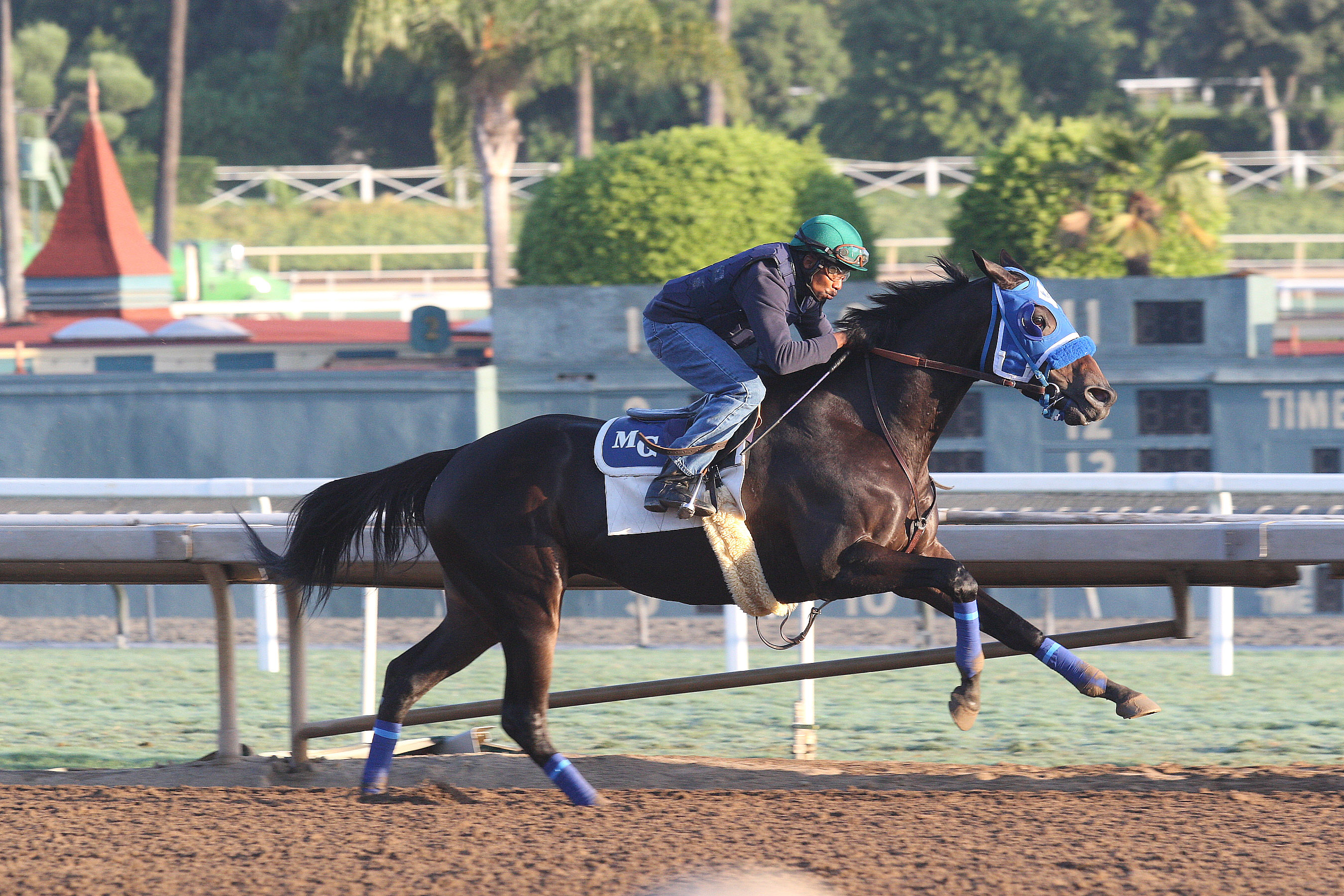 Blackjackcat works at Santa Anita Oct. 28