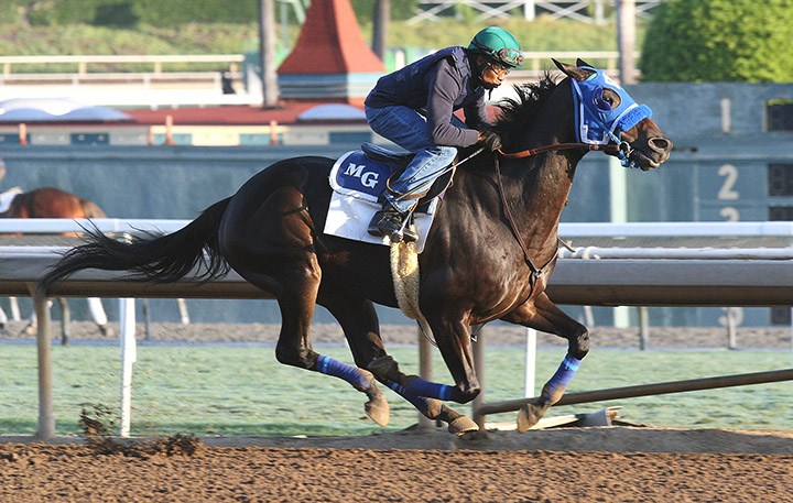 Blackjackcat trains at Santa Anita in October 2017