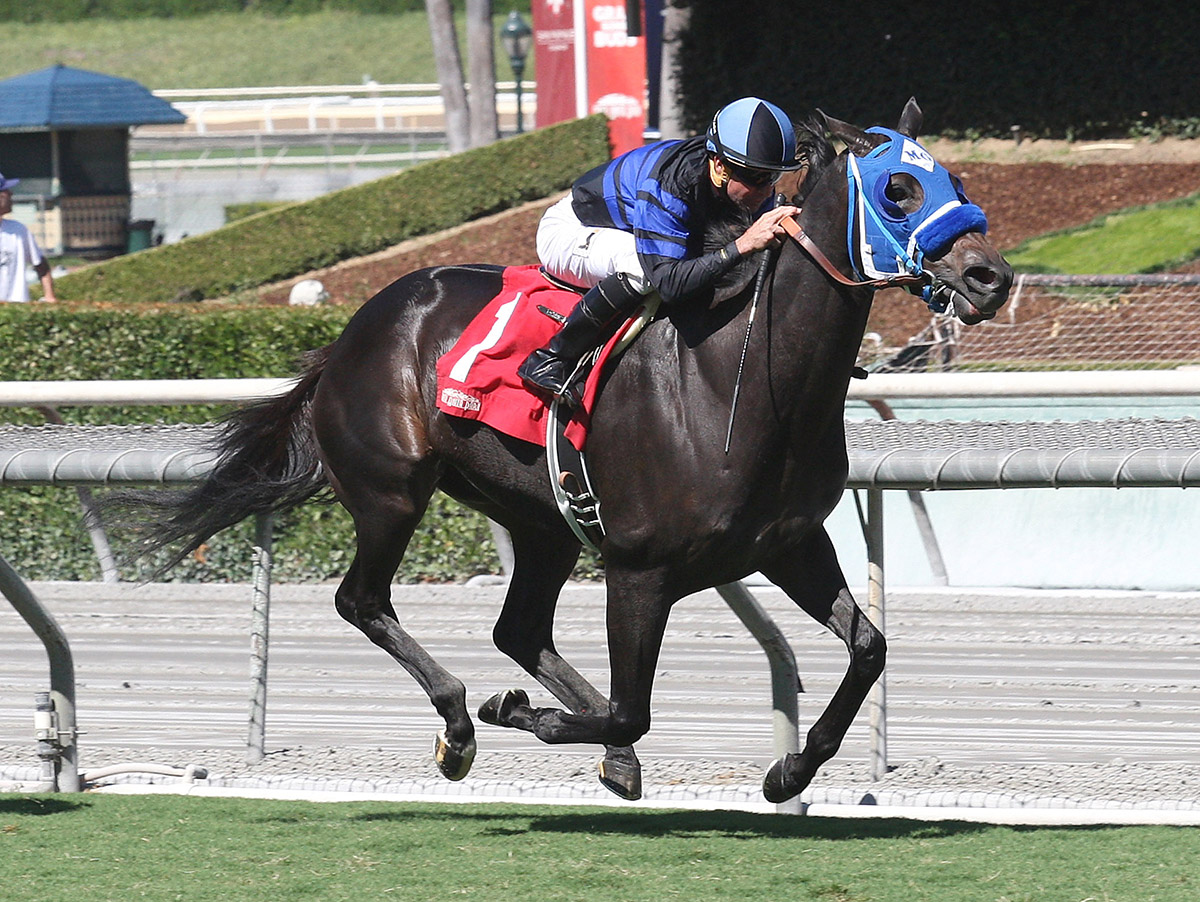 Blackjackcat wins the 2017 Obviously Mile Stakes