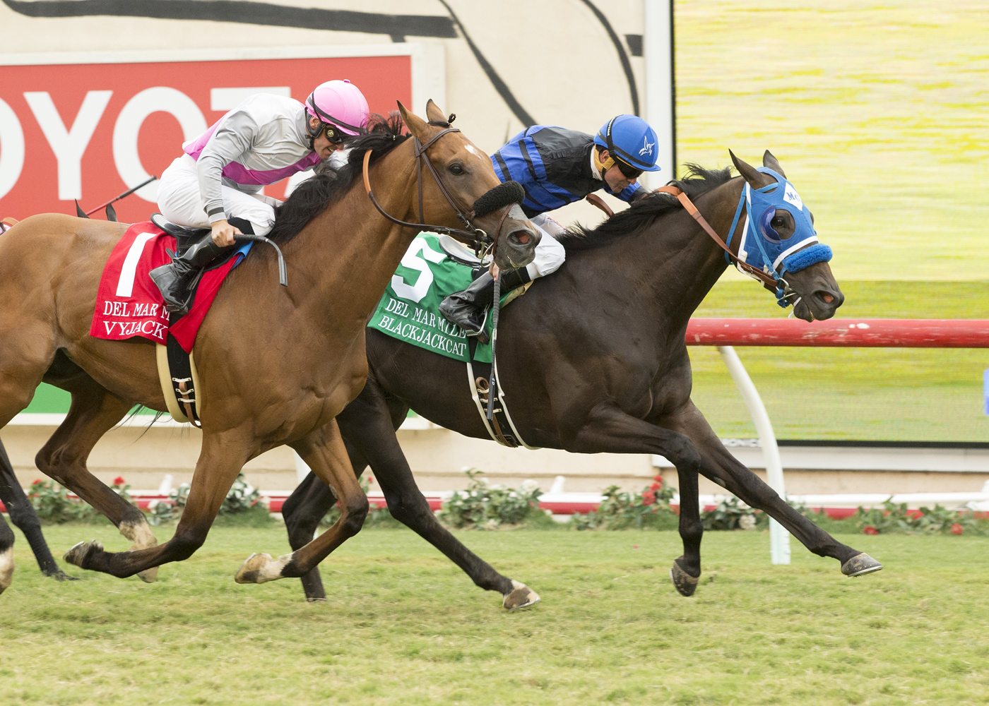 Blackjackcat wins the 2017 Del Mar Mile
