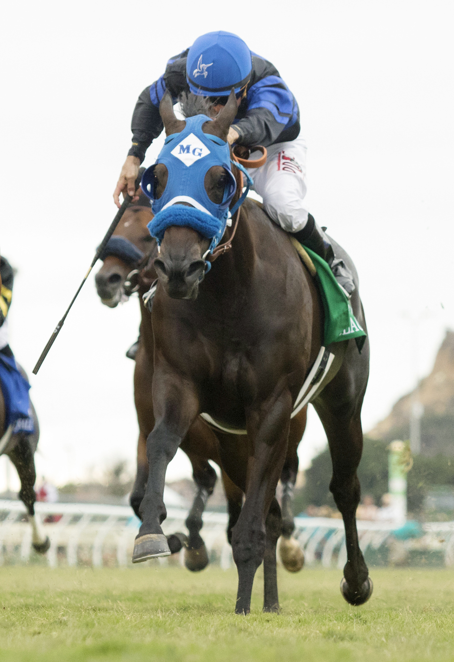 Blackjackcat wins the 2017 Del Mar Mile