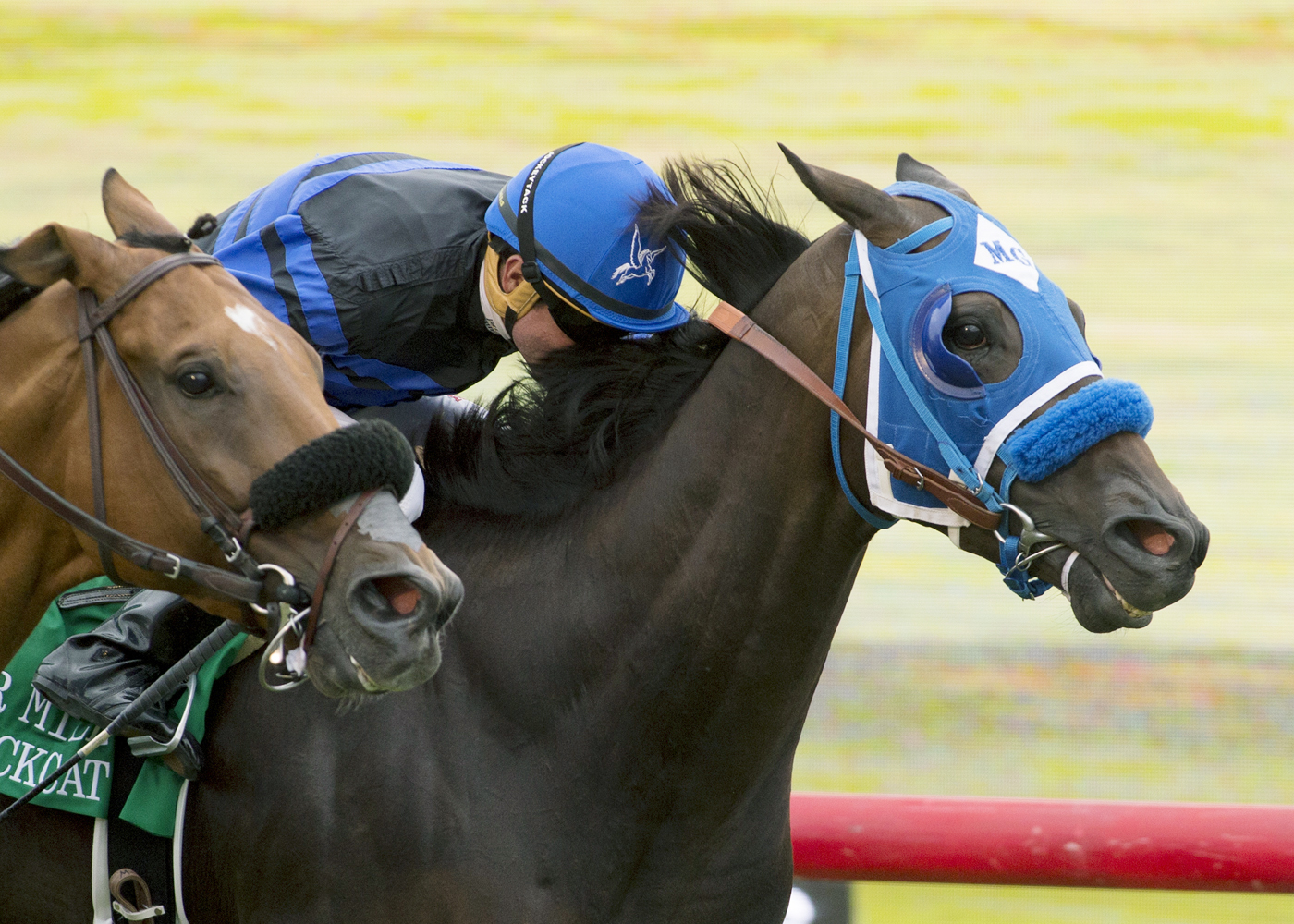Blackjackcat wins the 2017 Del Mar Mile