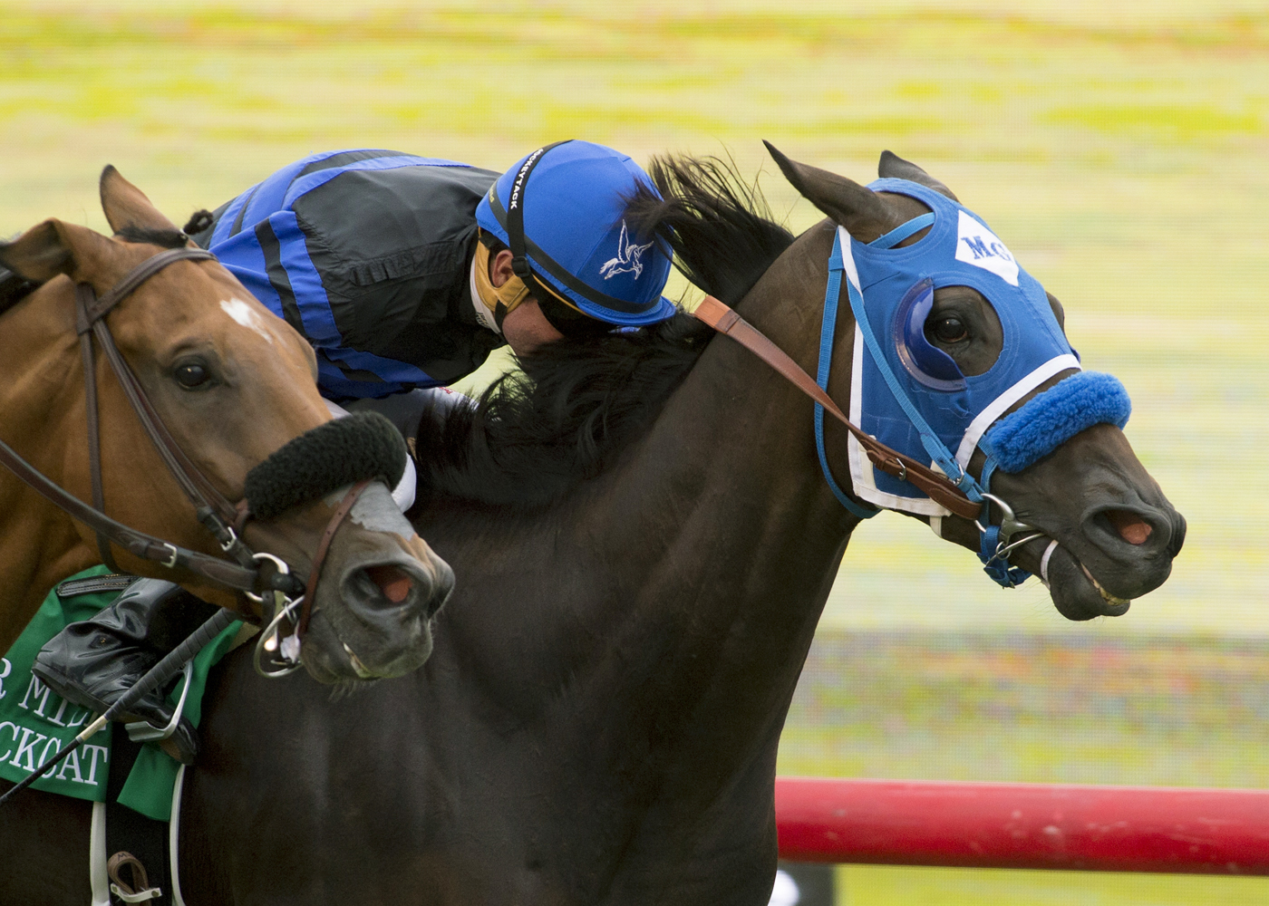 Blackjackcat wins the 2017 Del Mar Mile