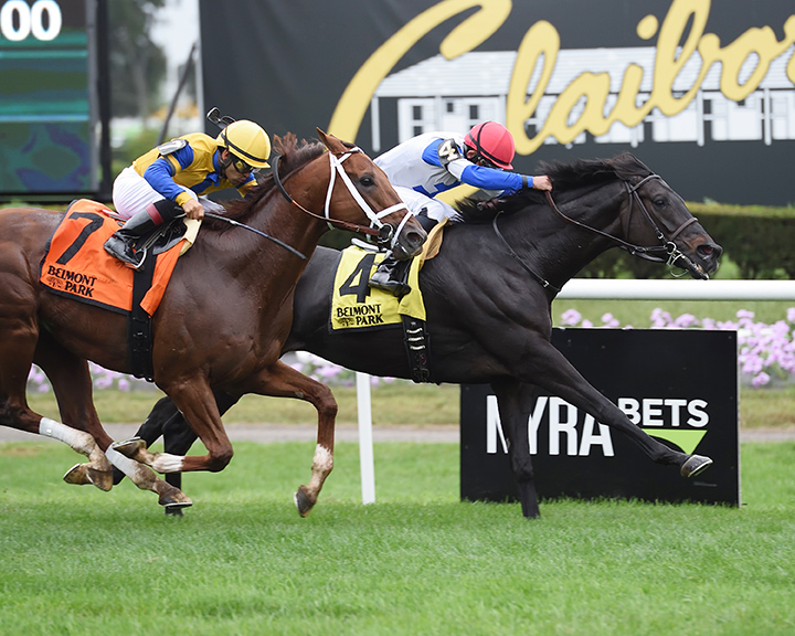 Blacktype wins the 2018 Knickerbocker Stakes
