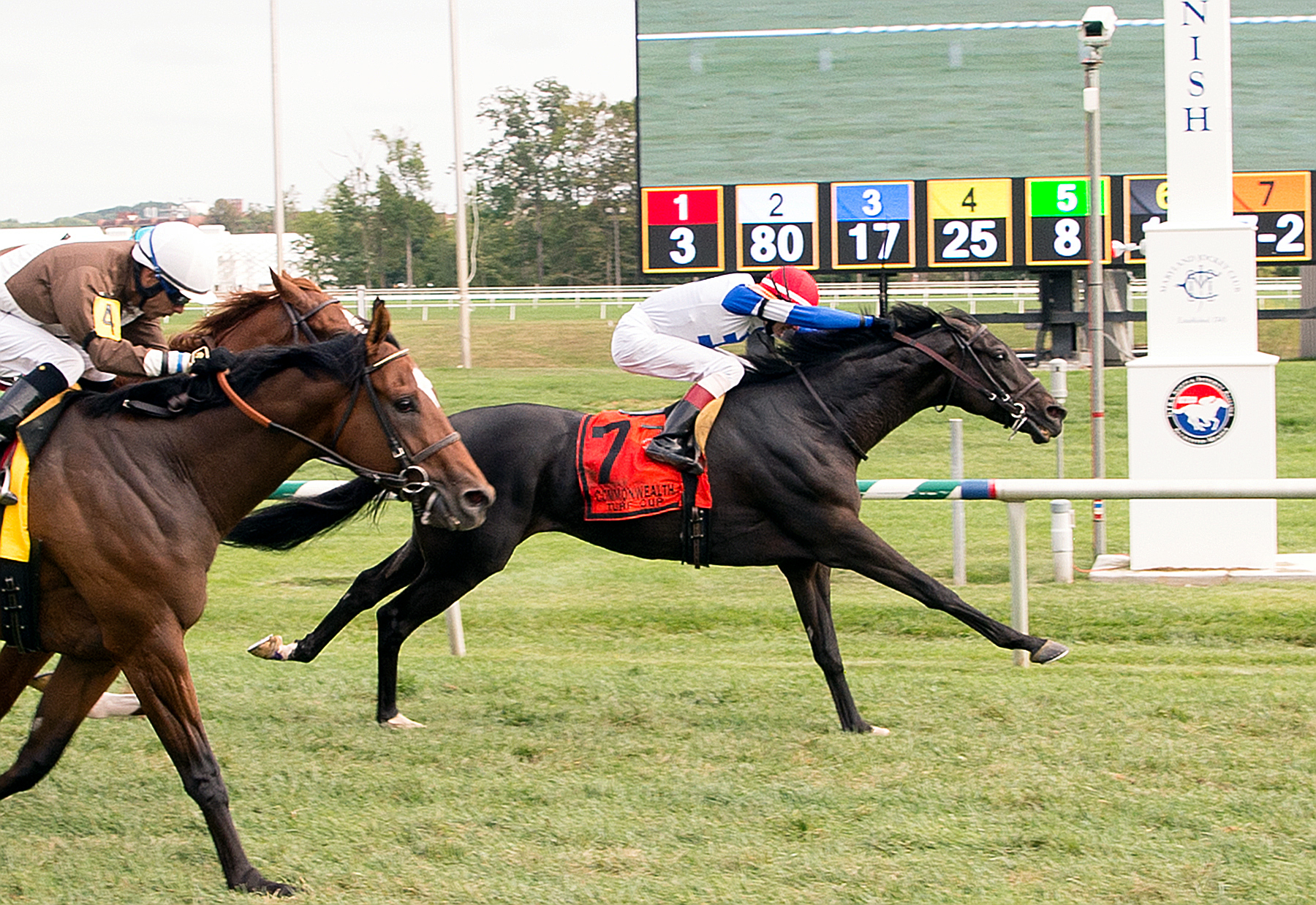 Blacktype wins the 2016 Commonwealth Turf Cup