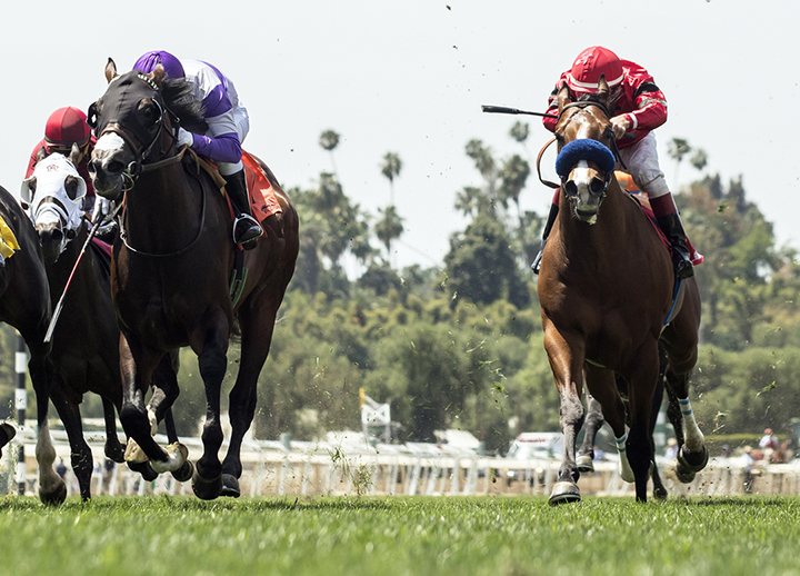 Move Over finishes third in the Singletary Stakes