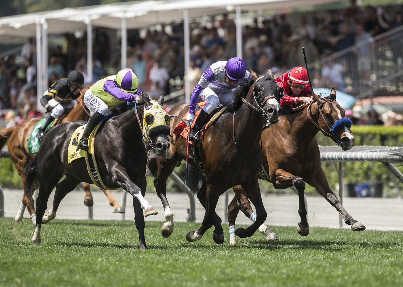 Blame the Rider wins the 2018 Singletary Stakes