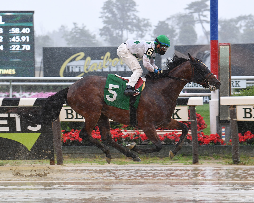 Blame the Booze wins a July 10 maiden race at Belmont Park