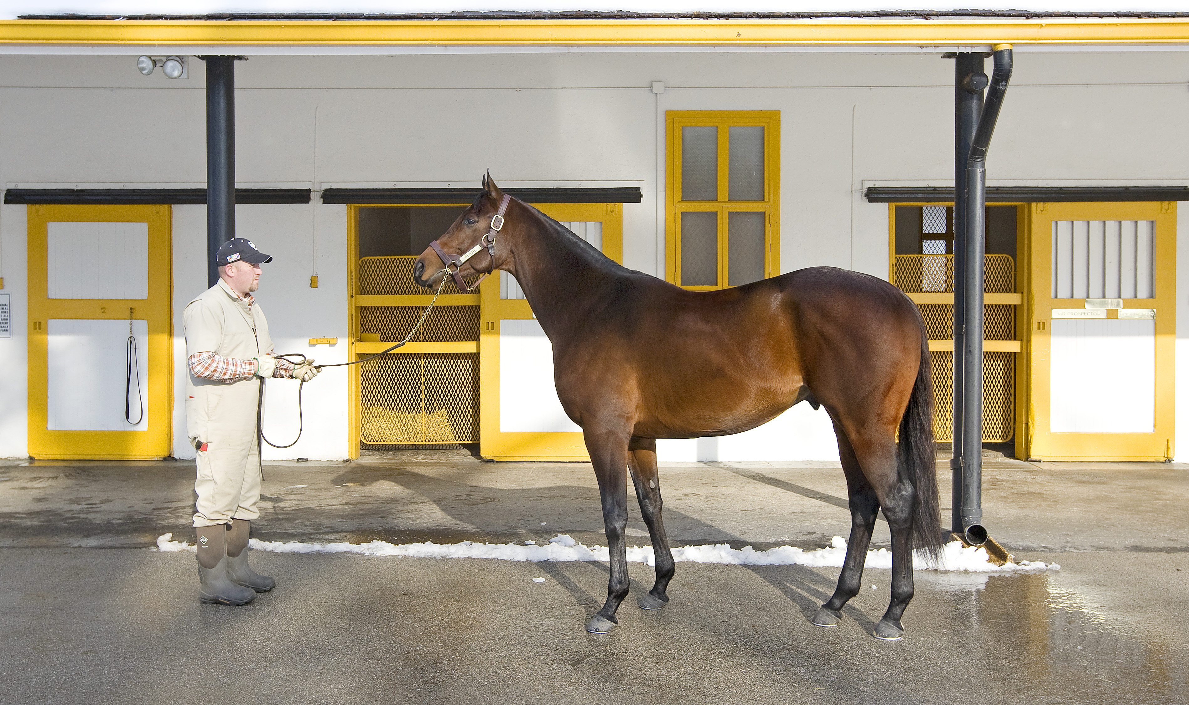 Blame at Claiborne