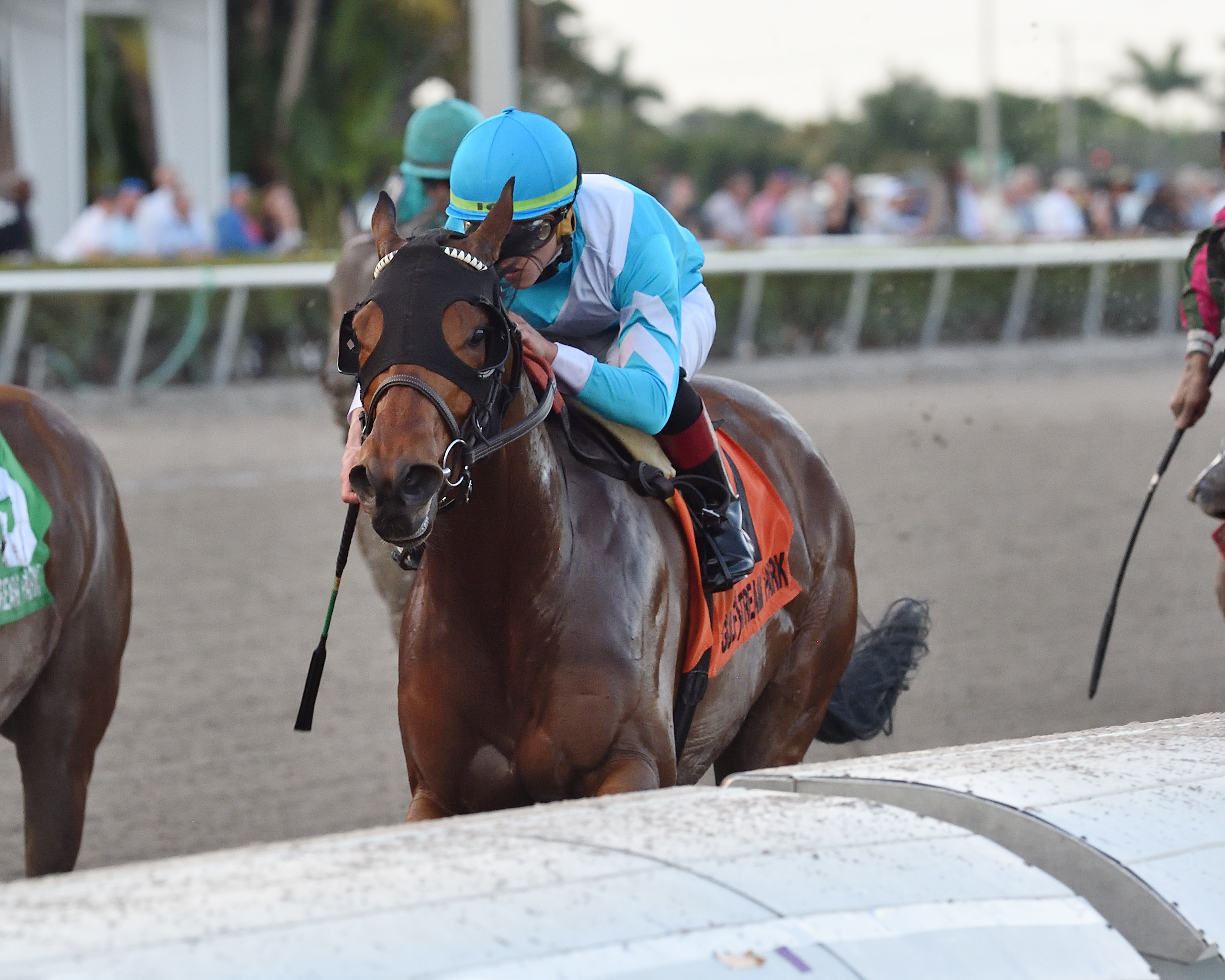Blamed wins 2019 Royal Delta