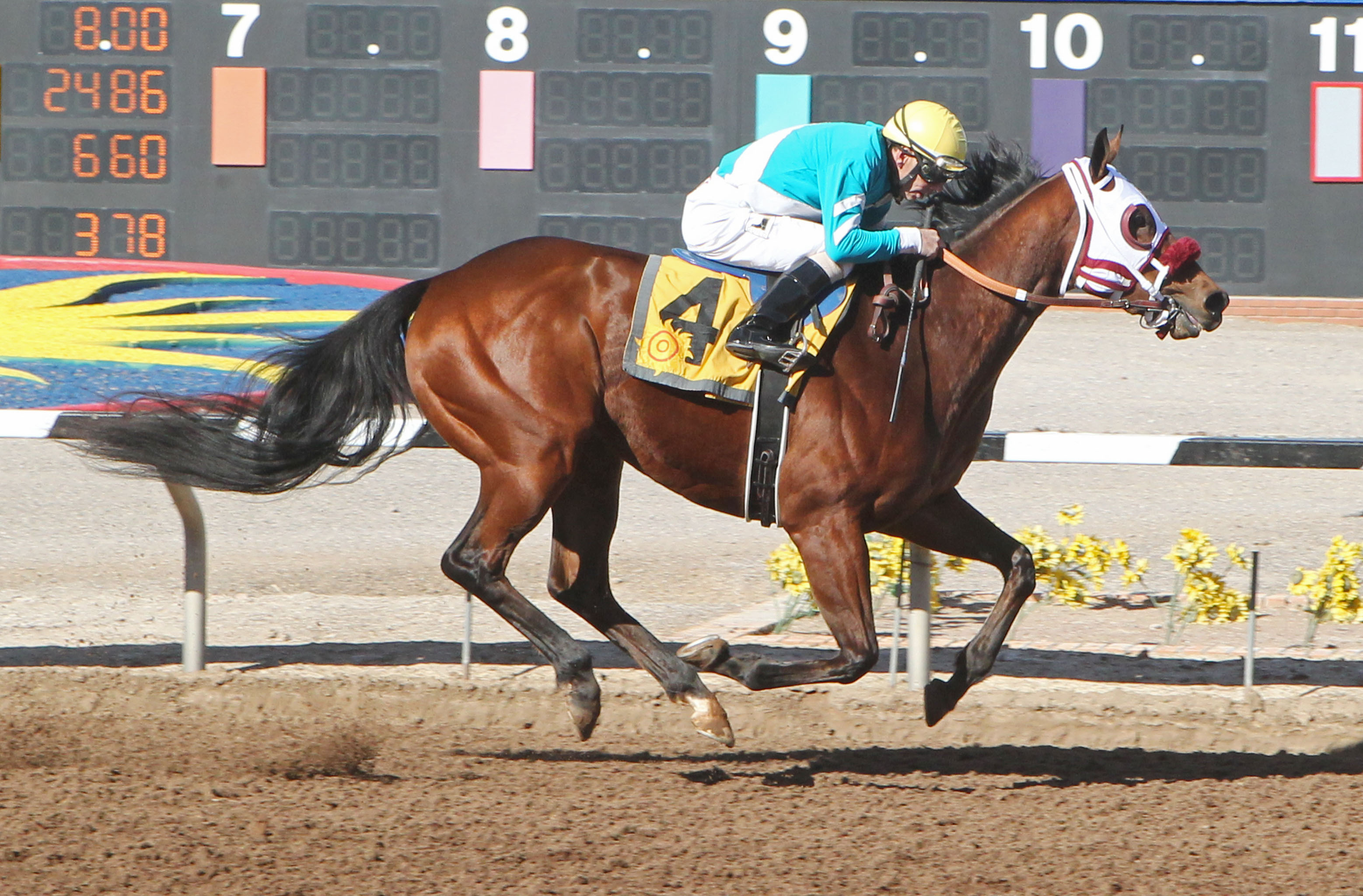 Blamed wins the Island Fashion Stakes