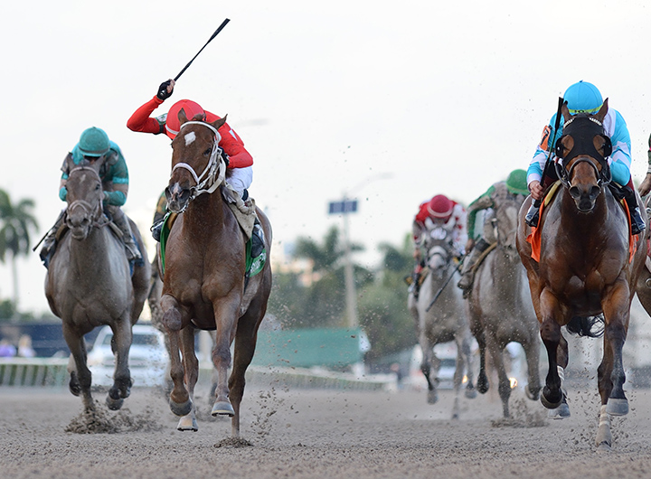 Jala Jala finishes second in the 2019 Royal Delta