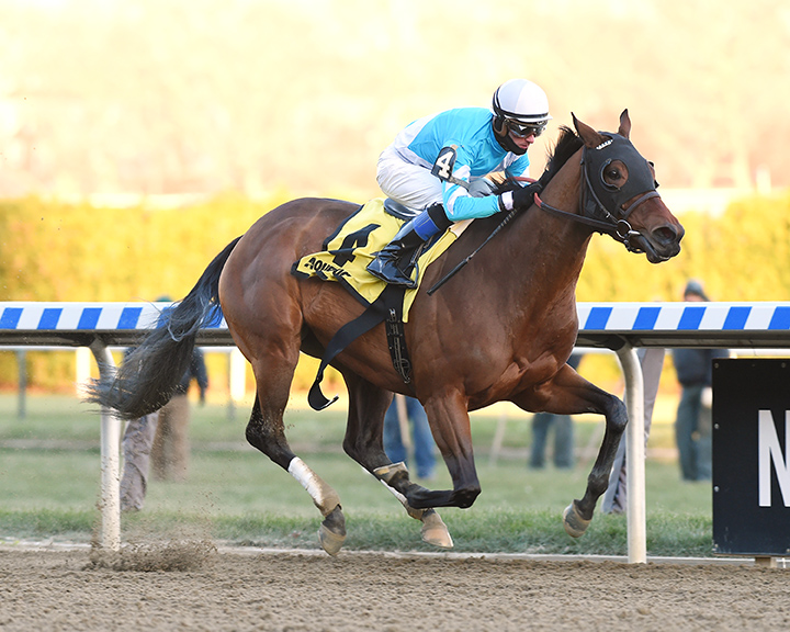 Blamed wins the 2018 Comely Stakes
