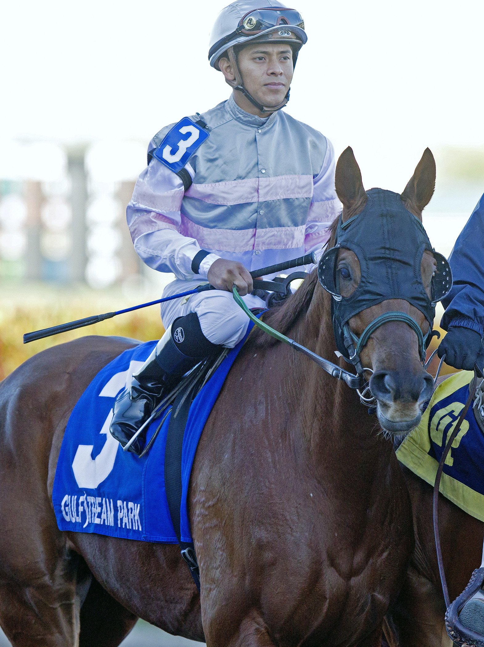 Blameshifter at the Florida Sunshine Millions Turf
