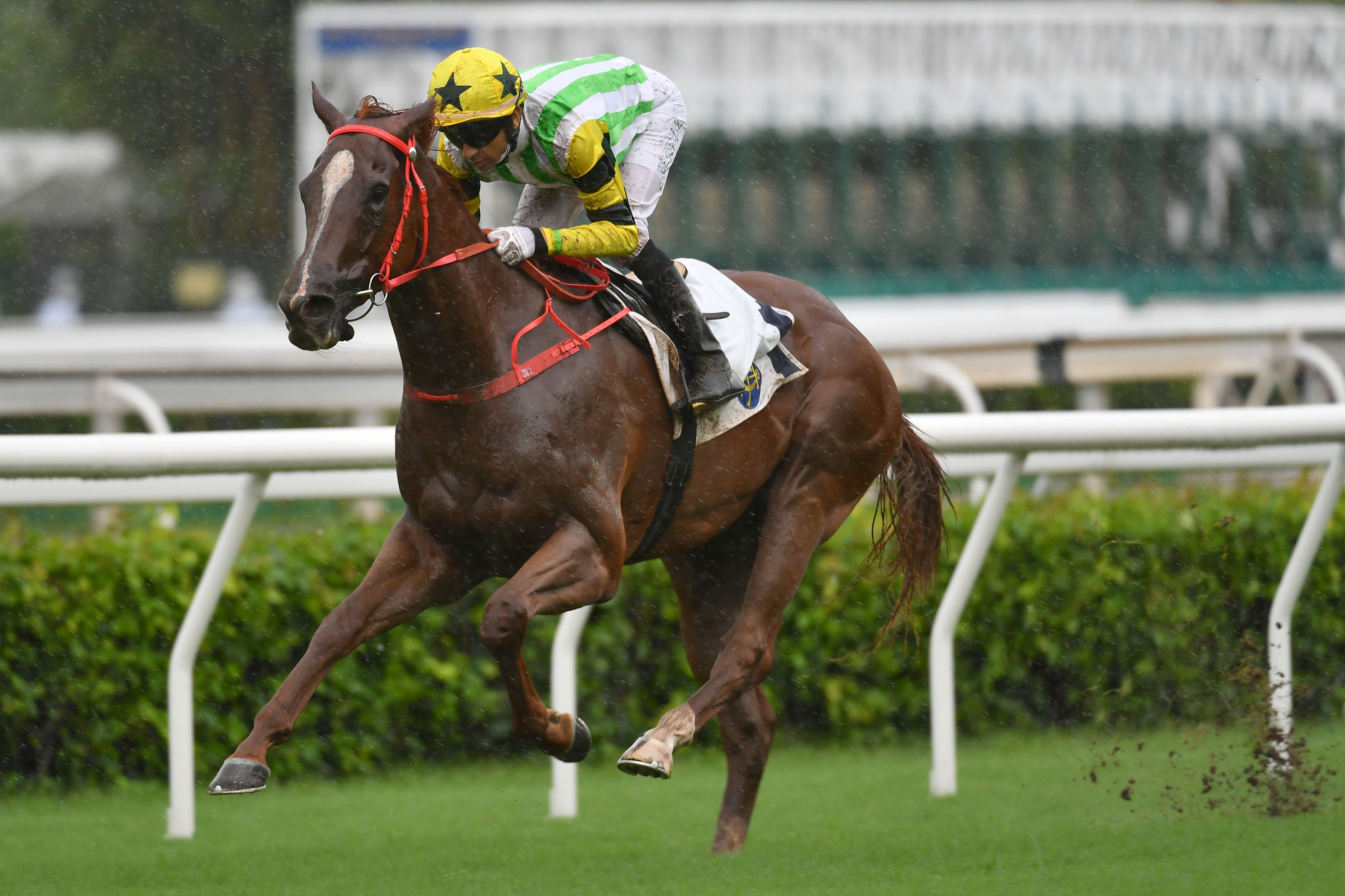 Blaze Warrior wins the 2021 Sai Wan Shan Handicap at Sha Tin Racecourse