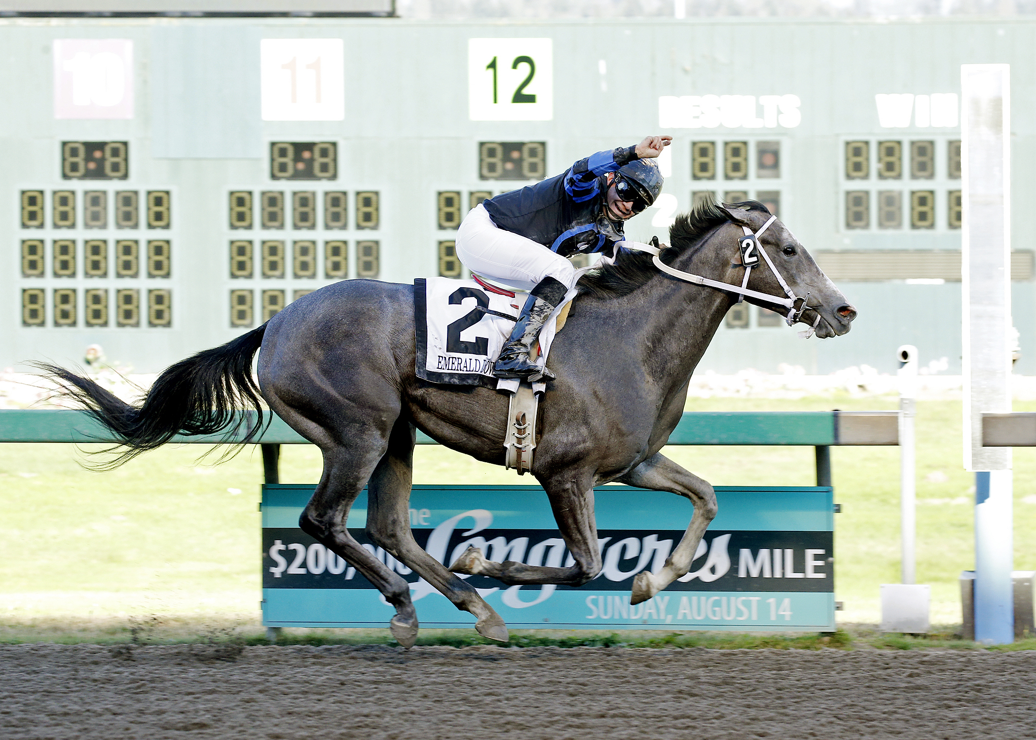 Blazinbeauty wins the 2016 Gottstein Futurity