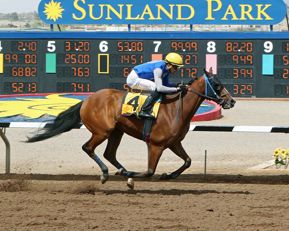 Blazing Navarone wins the 2018 New Mexico Breeders Derby