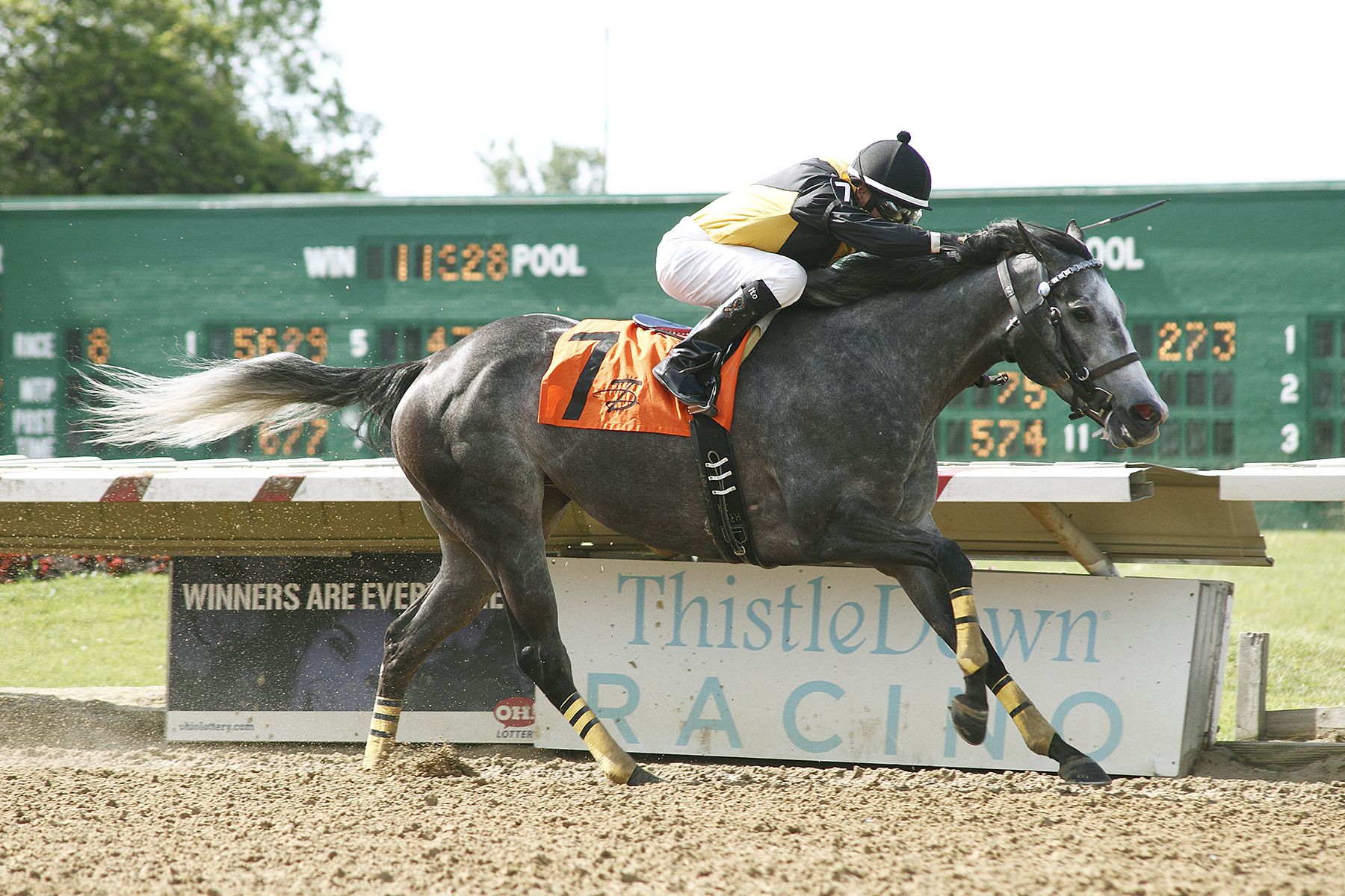 Blazing Bling 6-6-2015