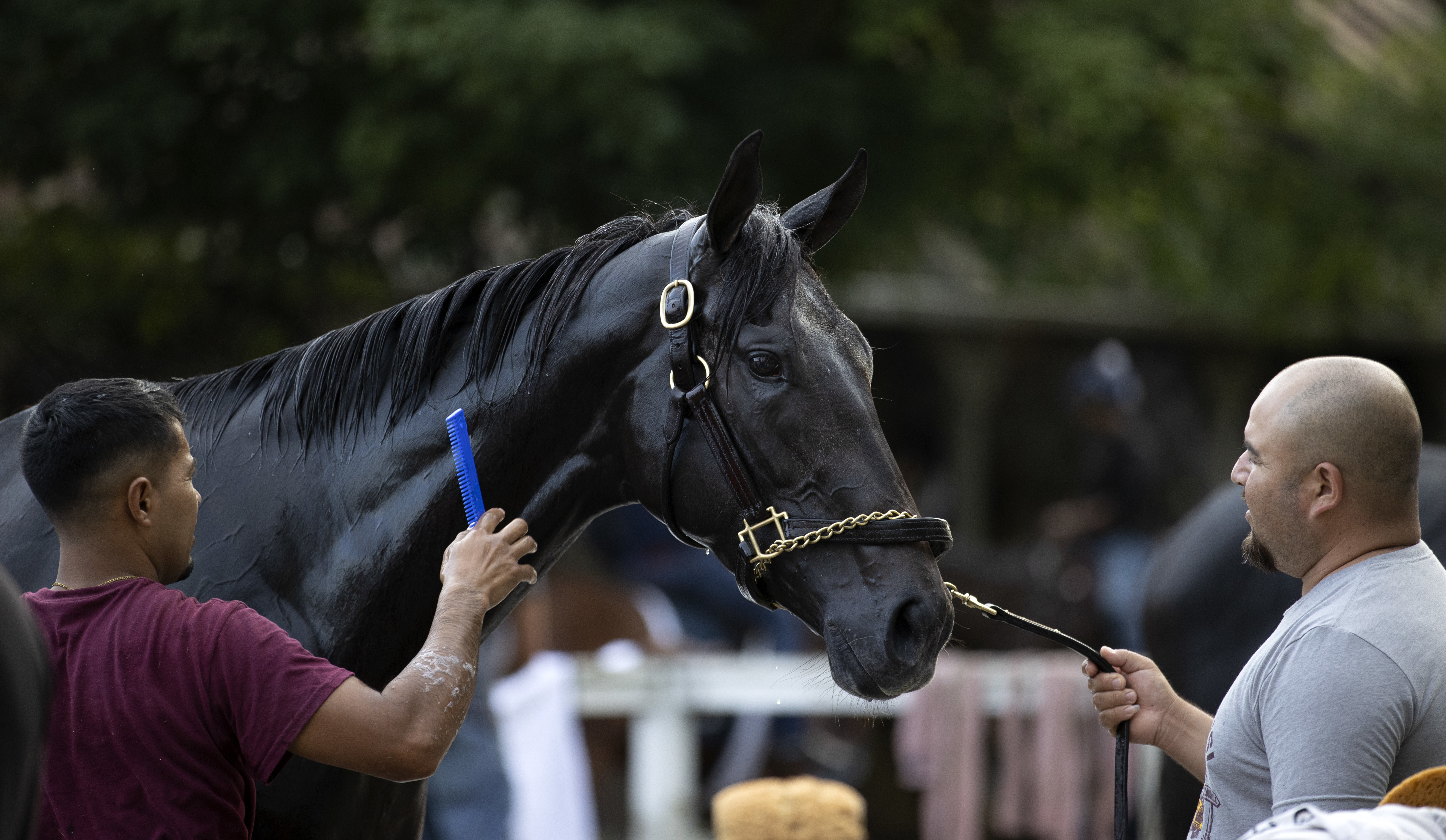 Bleecker Street at Saratoga on July 14 2022