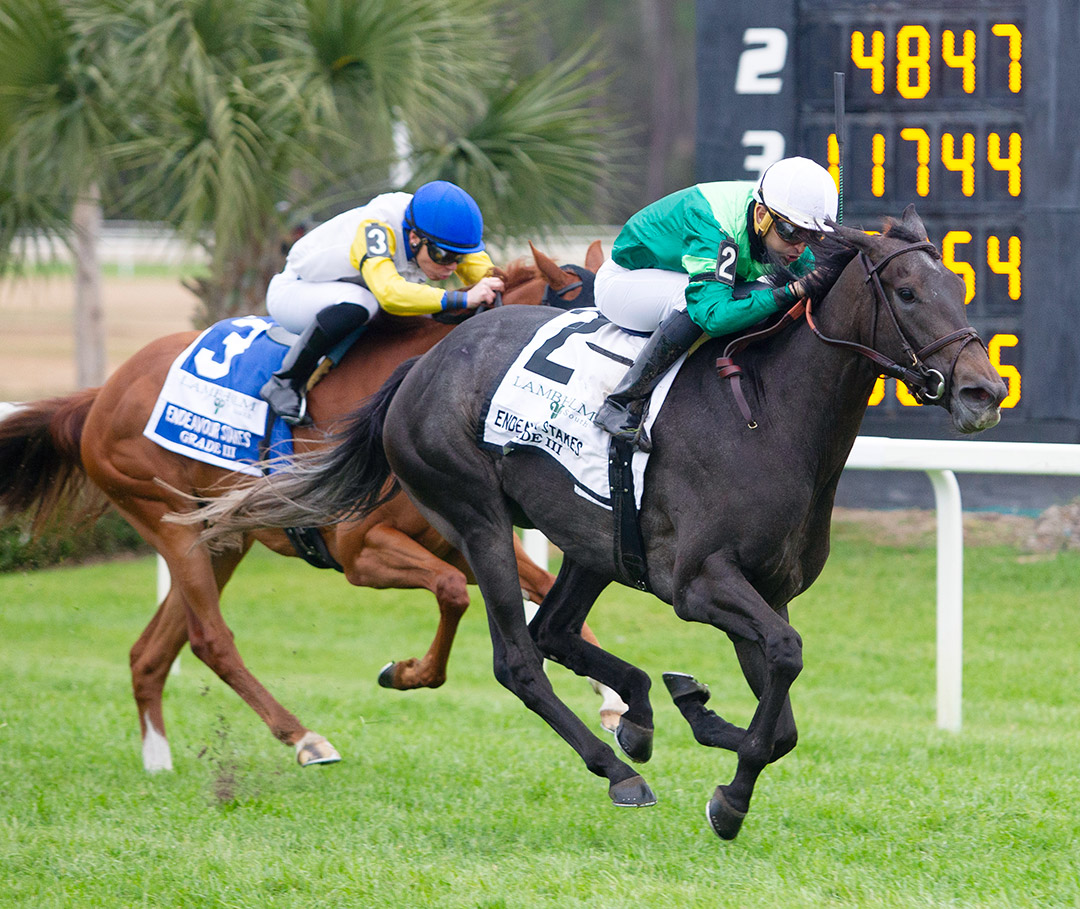Bleecker Street wins the 2022 Endeavour Stakes at Tampa Bay Downs