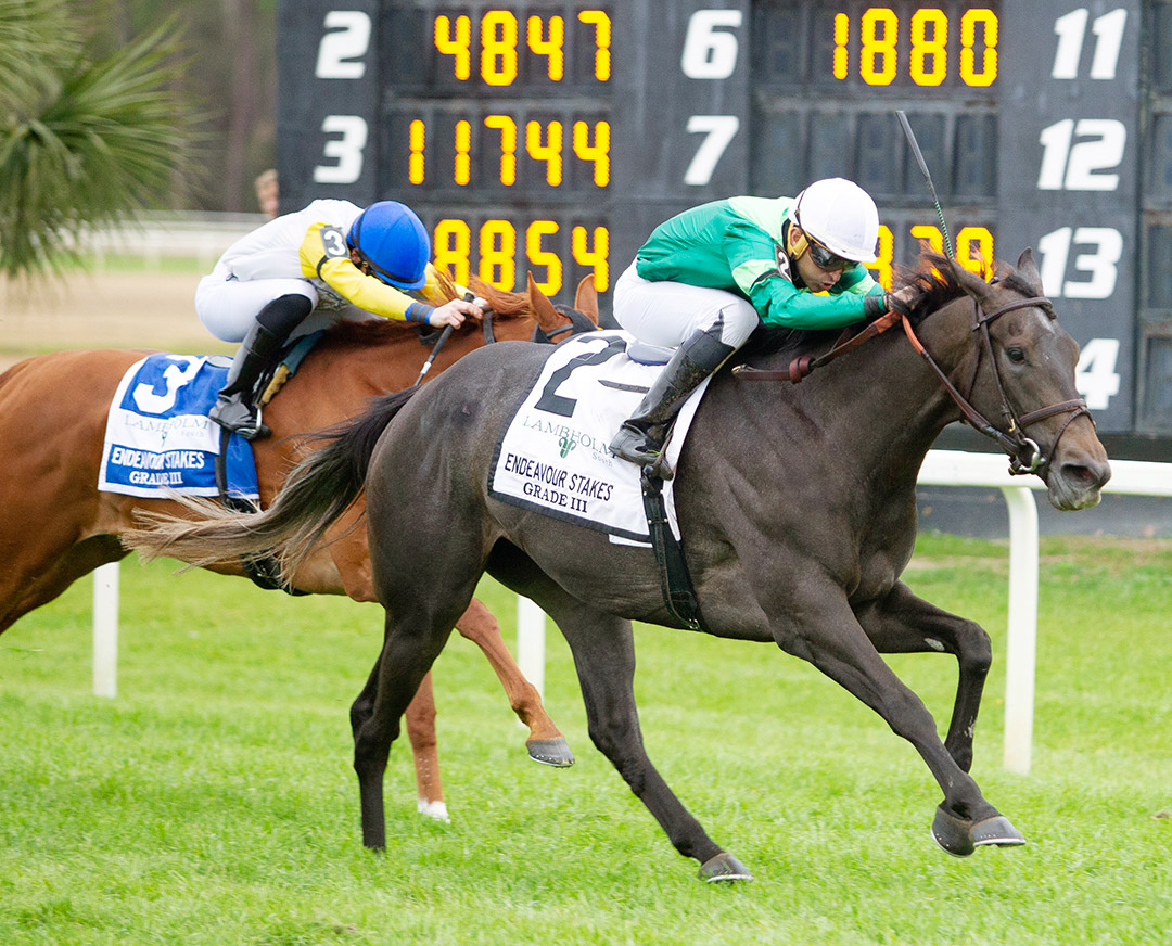 Bleecker Street wins the 2022 Endeavour Stakes at Tampa Bay Downs