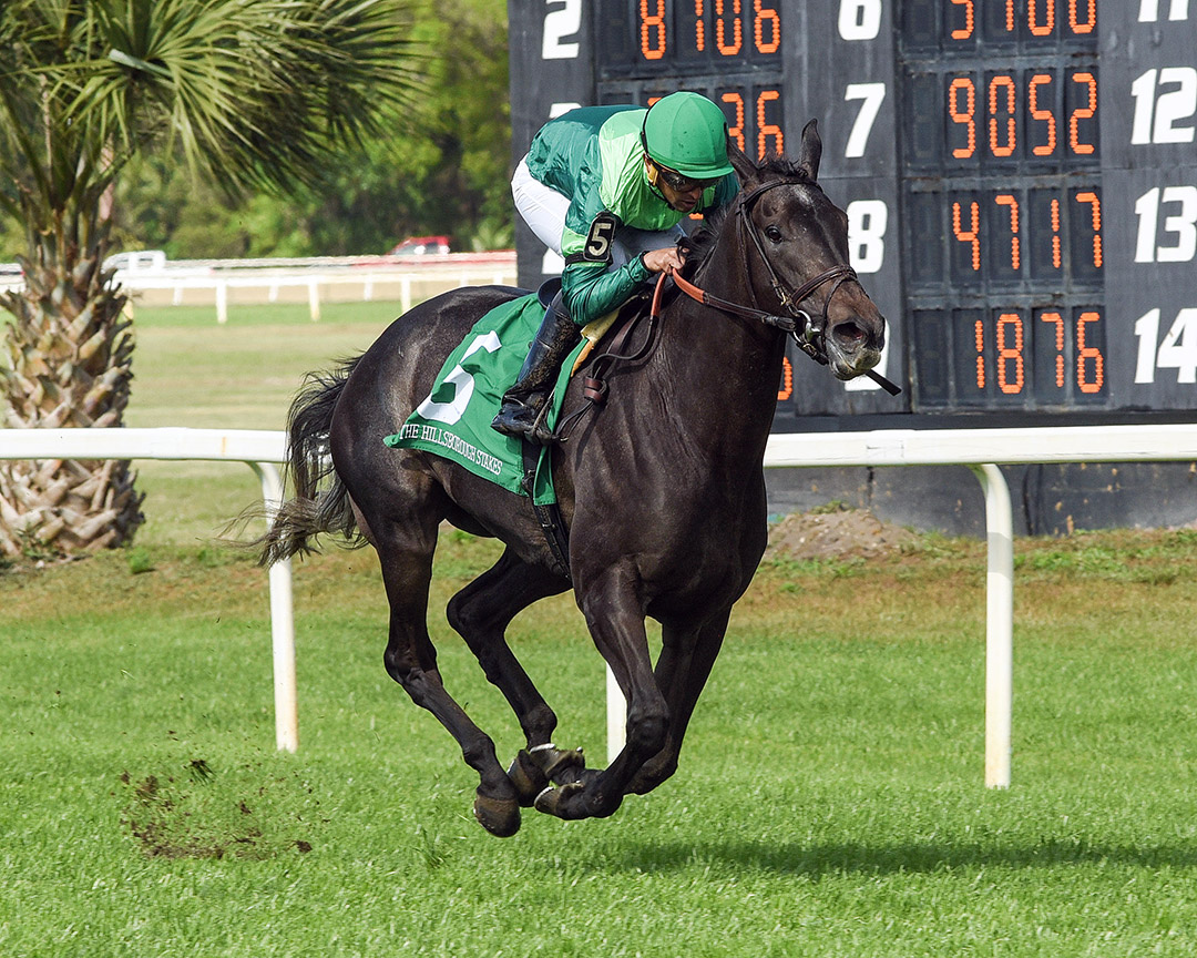 Bleecker Street wins the 2022 Hillsborough Stakes at Tampa Bay Downs
